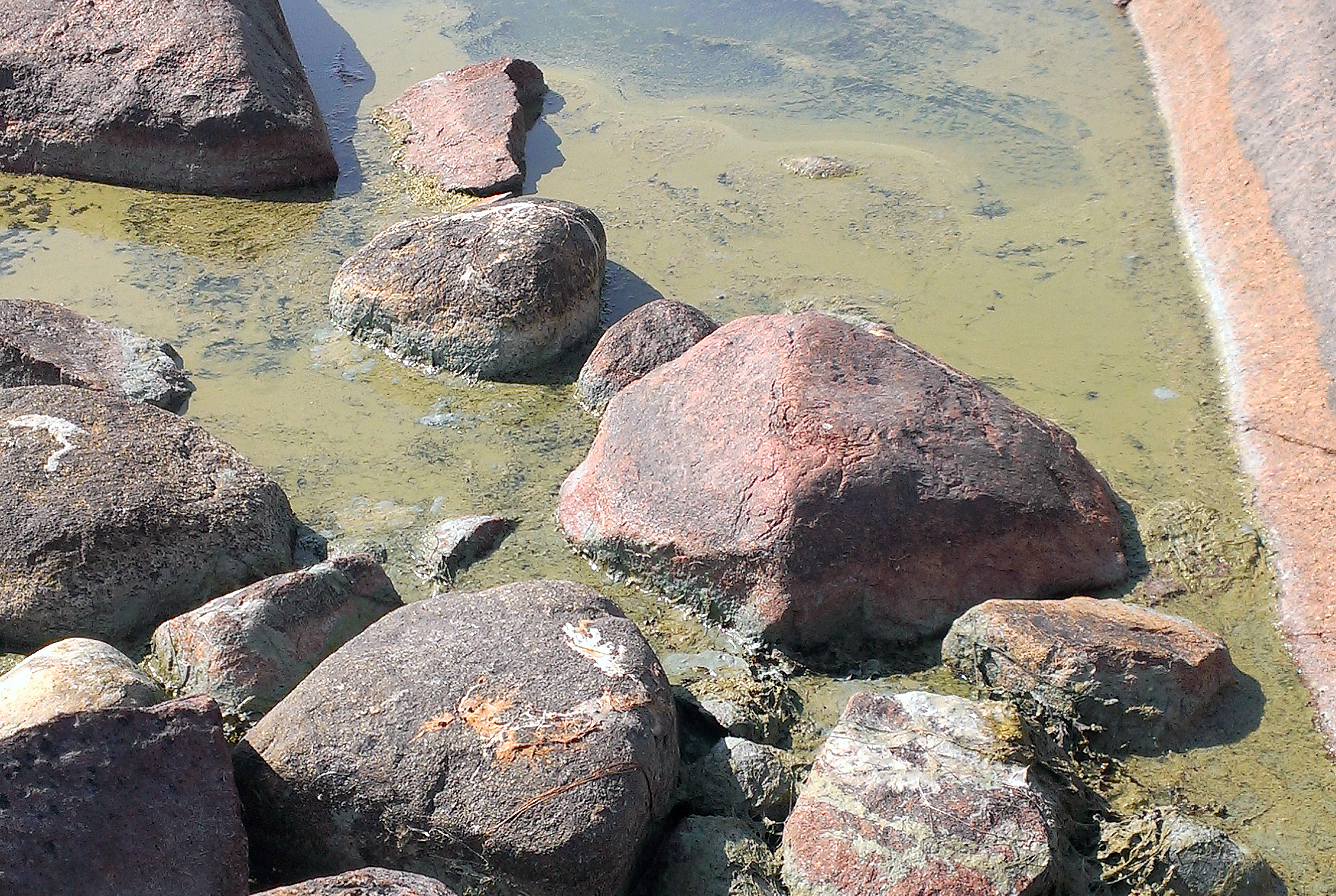 © Nya Åland © Nya Åland