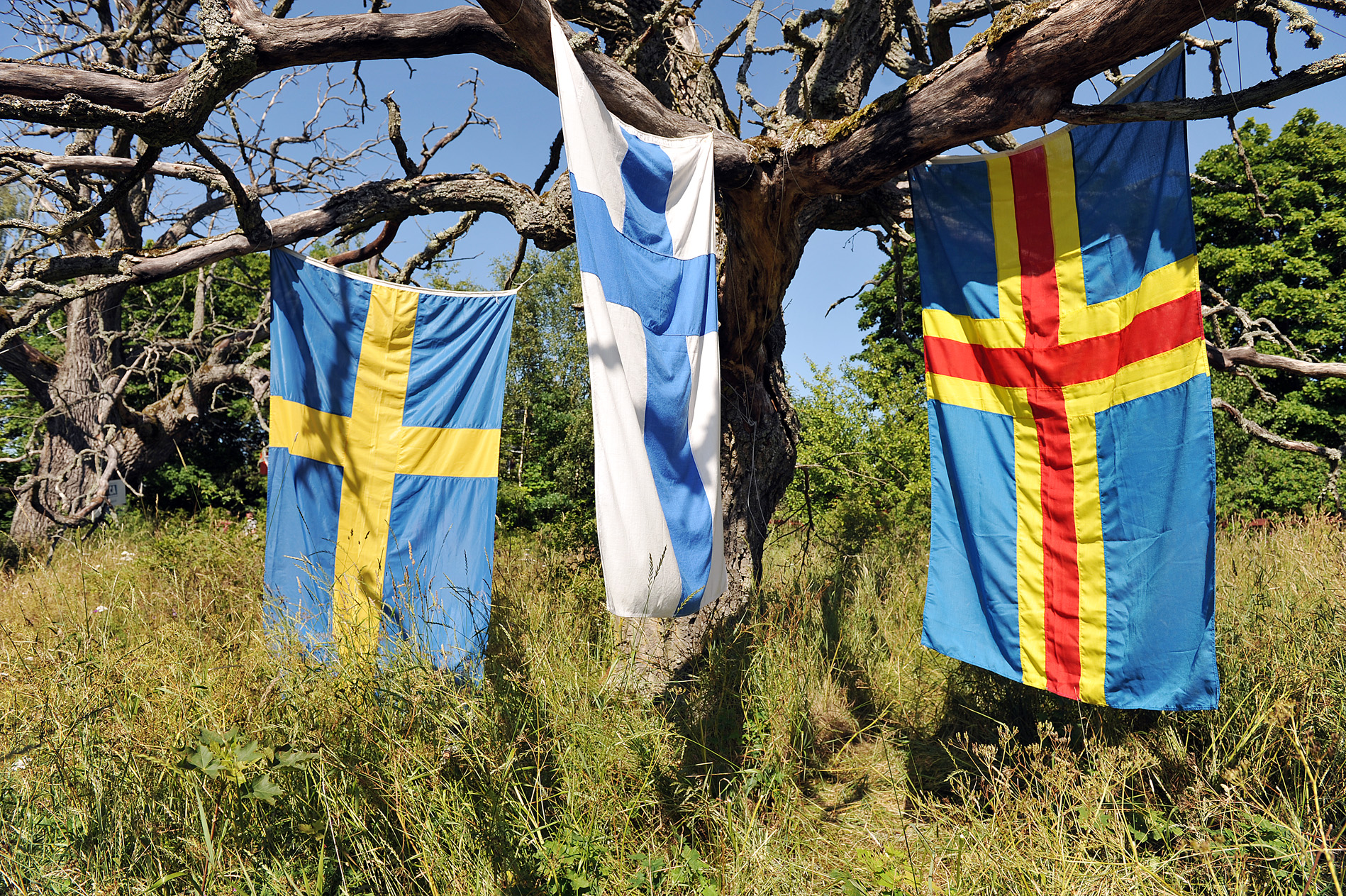 © Nya Åland © Nya Åland