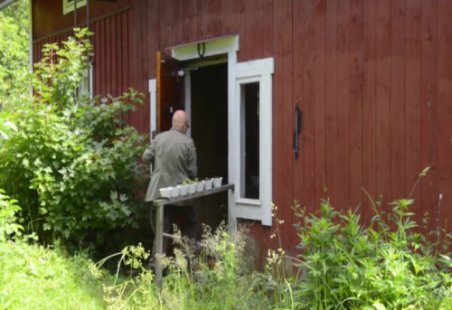 Nyheterna 13 juli
