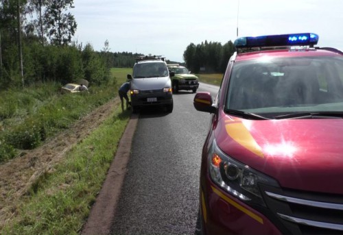 Nyheterna 4 augusti
