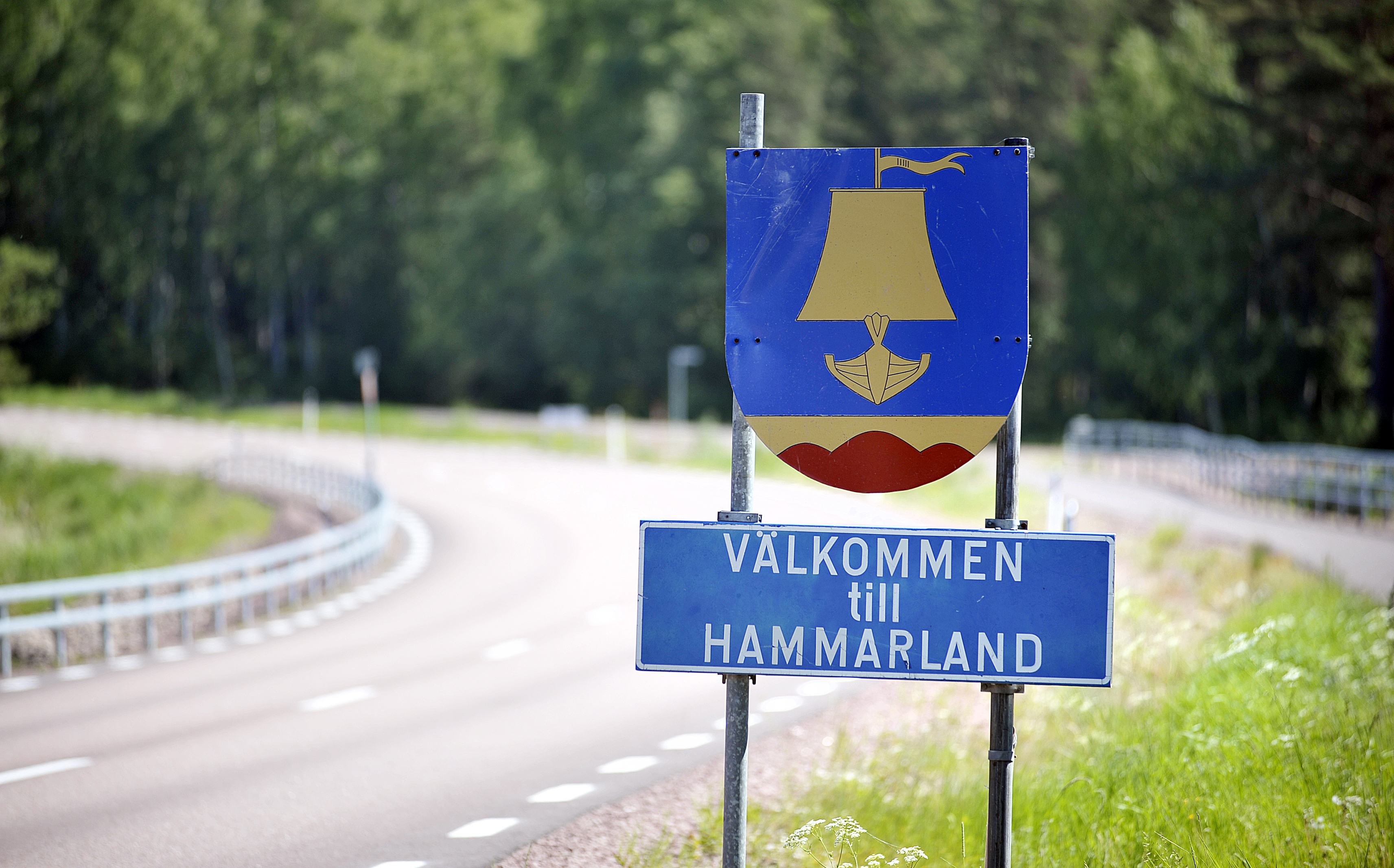 Klart ja till fortsatt självständigt Hammarland