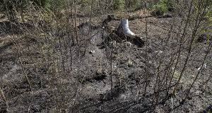 Alarmcentralen upphäver skogsbrandvarningen