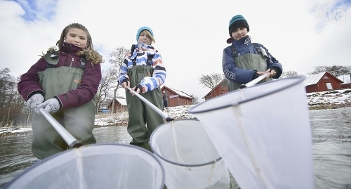 FÖR FRAMTIDEN Strandnäs skolas elever var ivriga när de förra veckan gav sig ut i Slemmern tillsammans med Ålands naturskola för att utforska vattenmiljön. Forskningen visar att det går att vända en nedåtgående trend för vattenkvaliteten men att processen är utdragen. Eleverna längst framme heter Jacqueline Larón och Oliver Blomster.