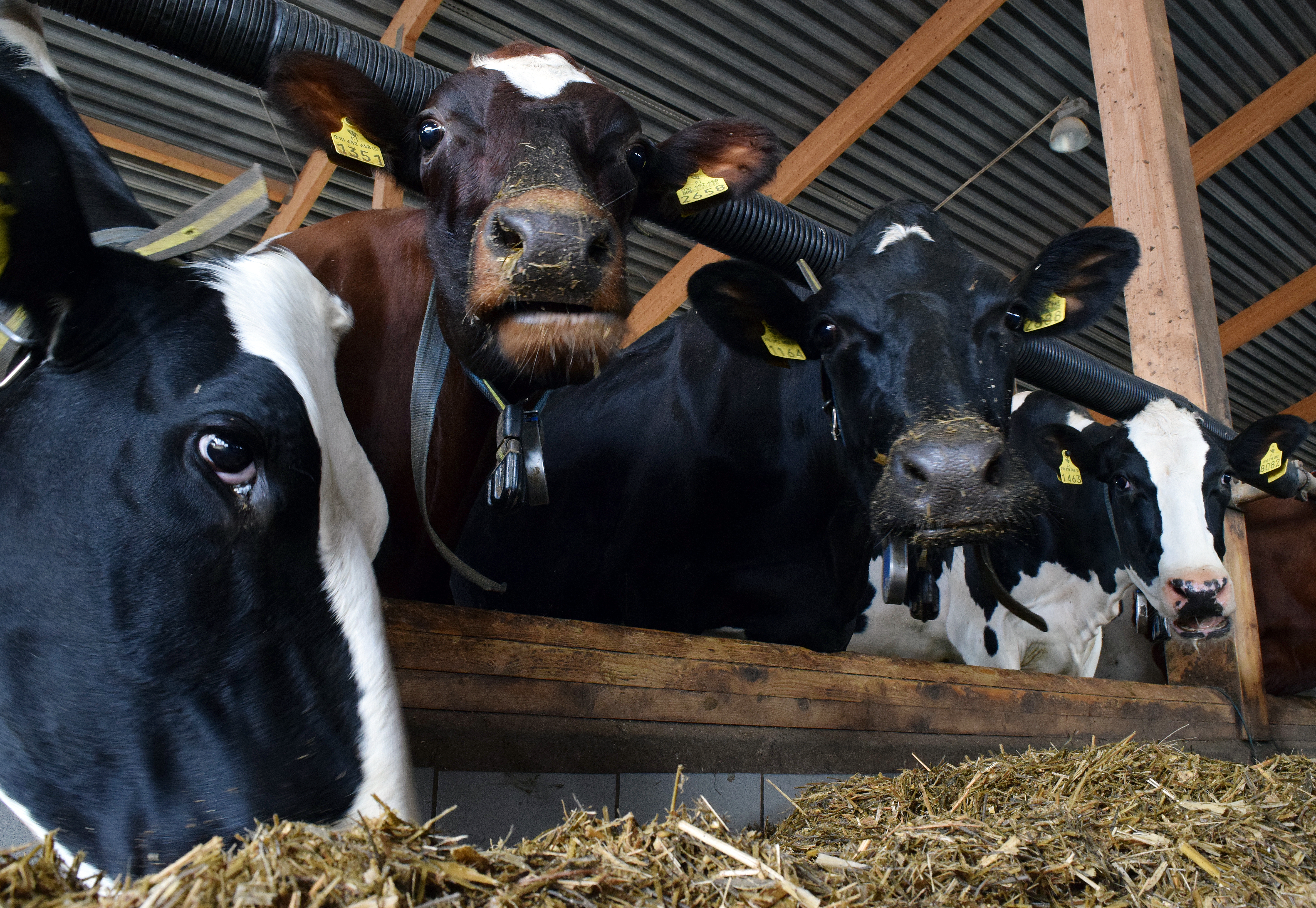 Åländska bönder äldst i hela landet