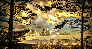 Varma luftmassor kan röra sig norrut