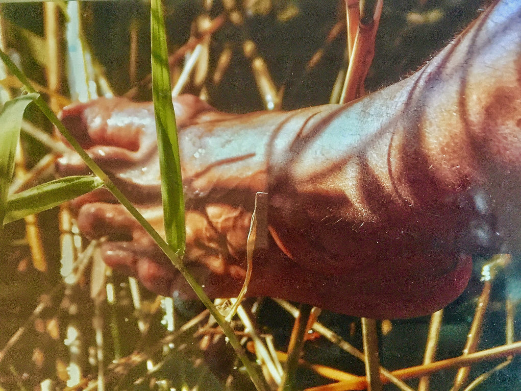 Nya Ålands sommarfot(o)tävling