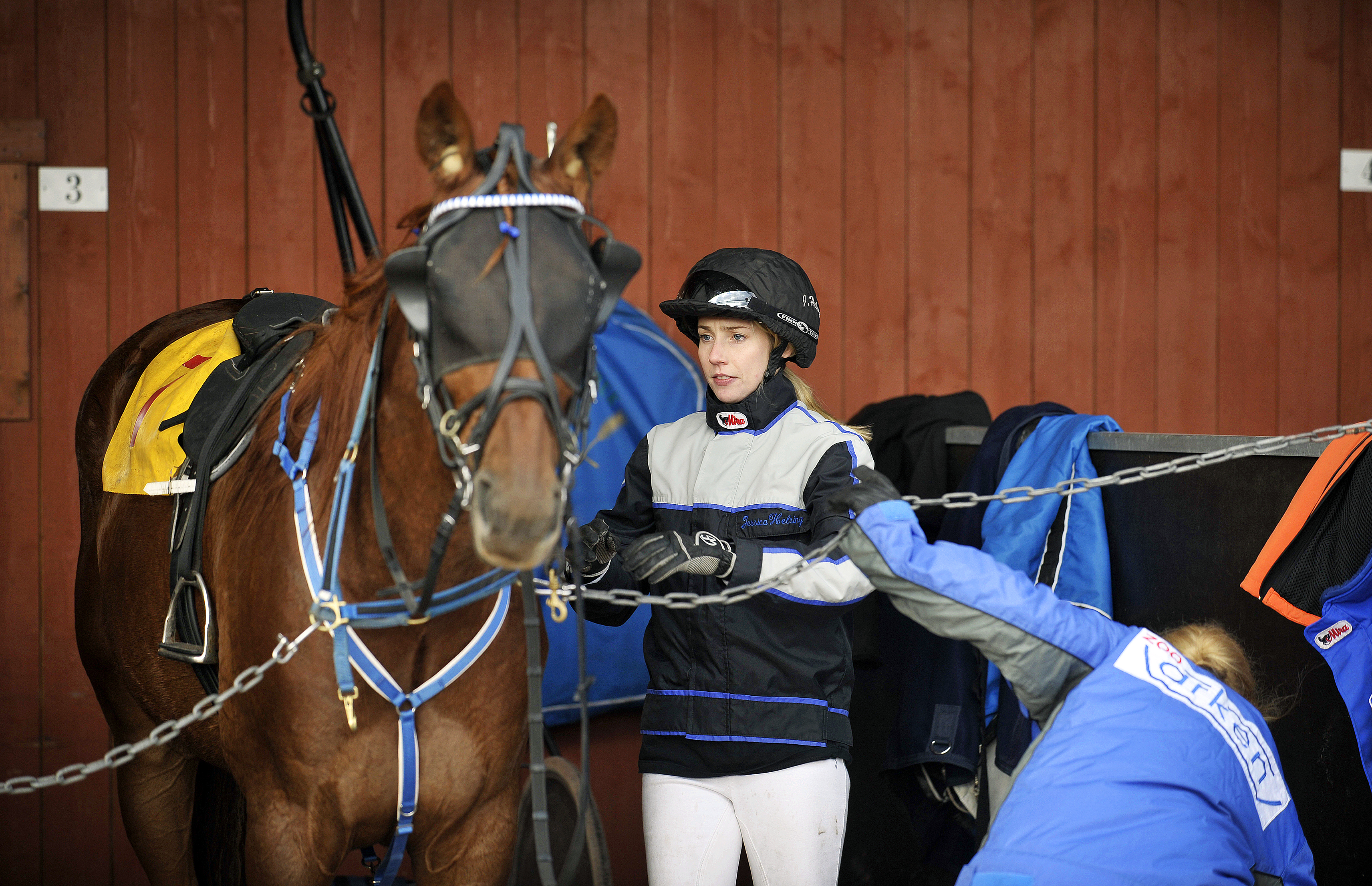 Sålde unghäst för 240 000 kronor