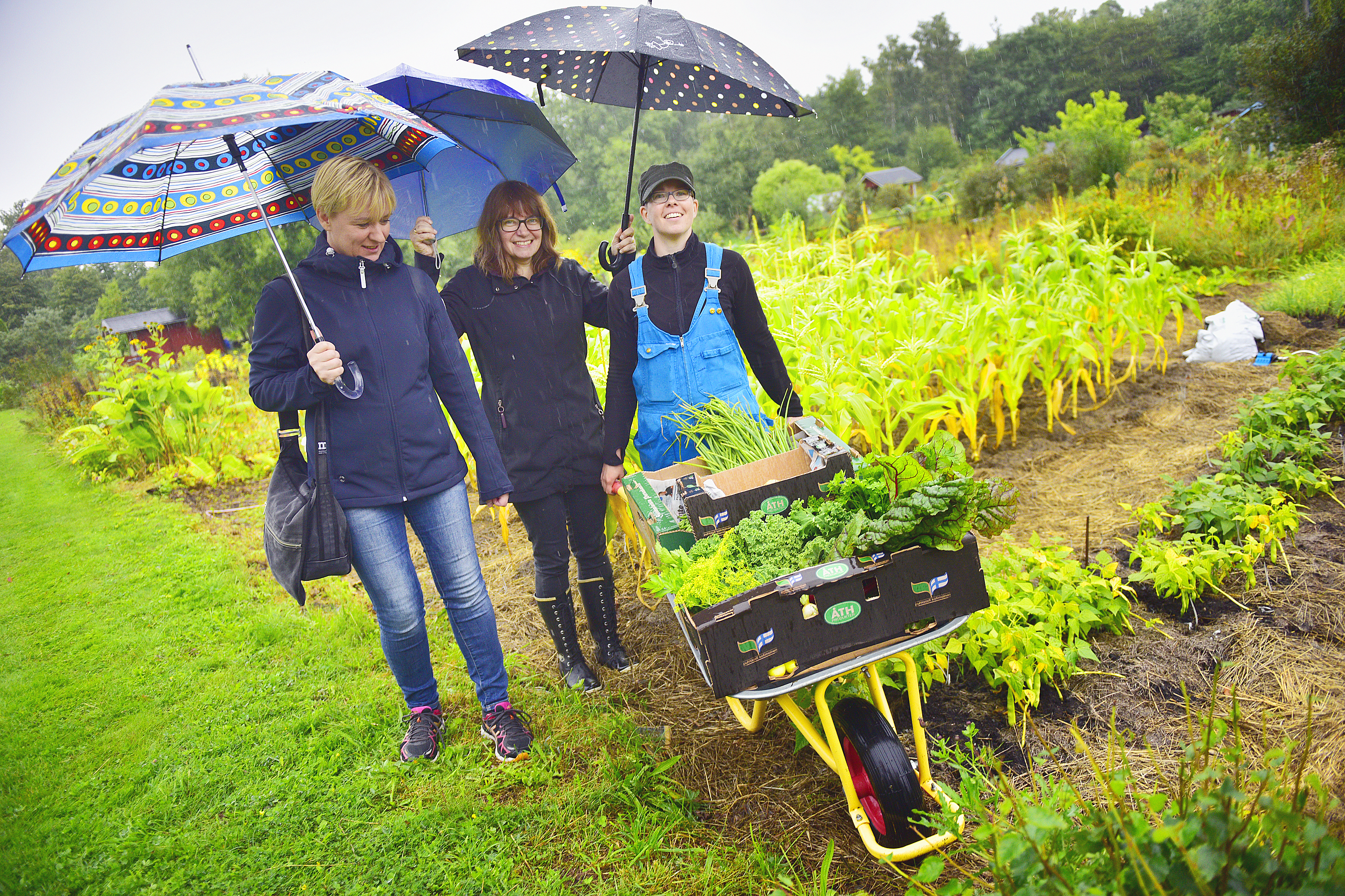Odling till förmån för matbanken