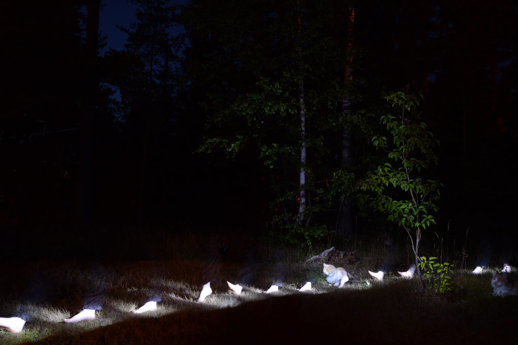 Nya Ålands sommarfot(o)tävling