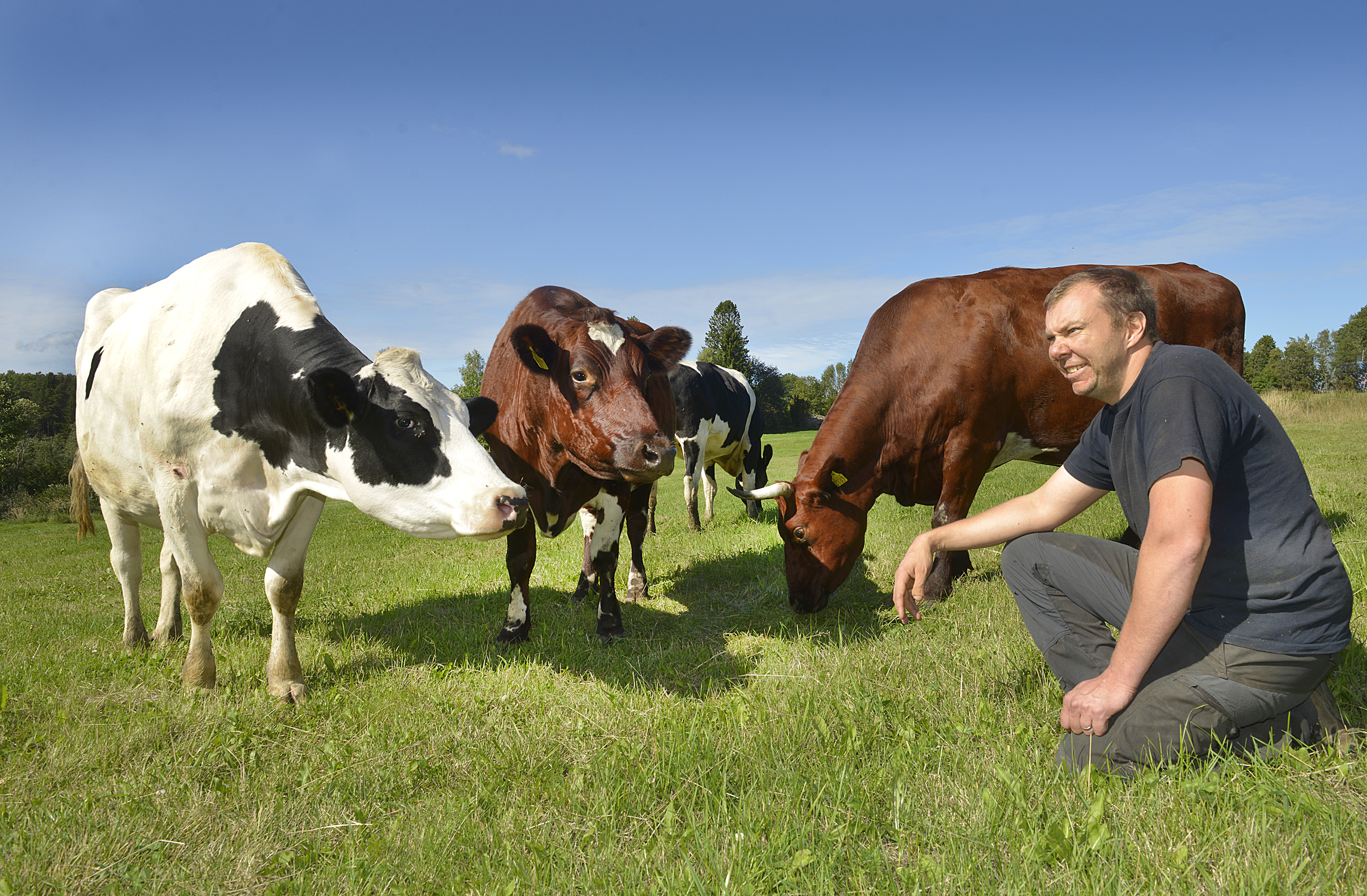 ”Det går åt rätt håll”