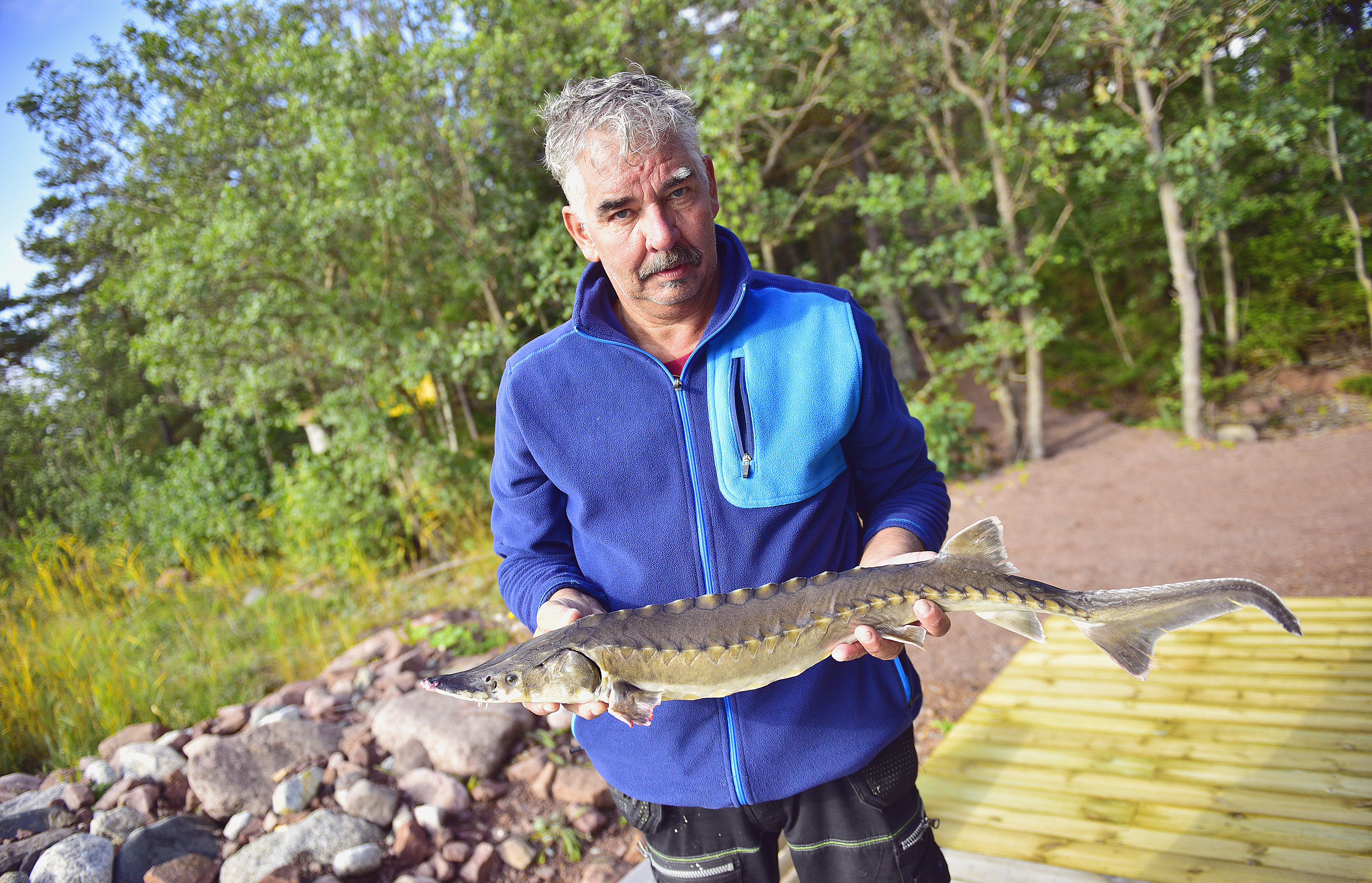 Fiskare fick stor stör i Lemböte