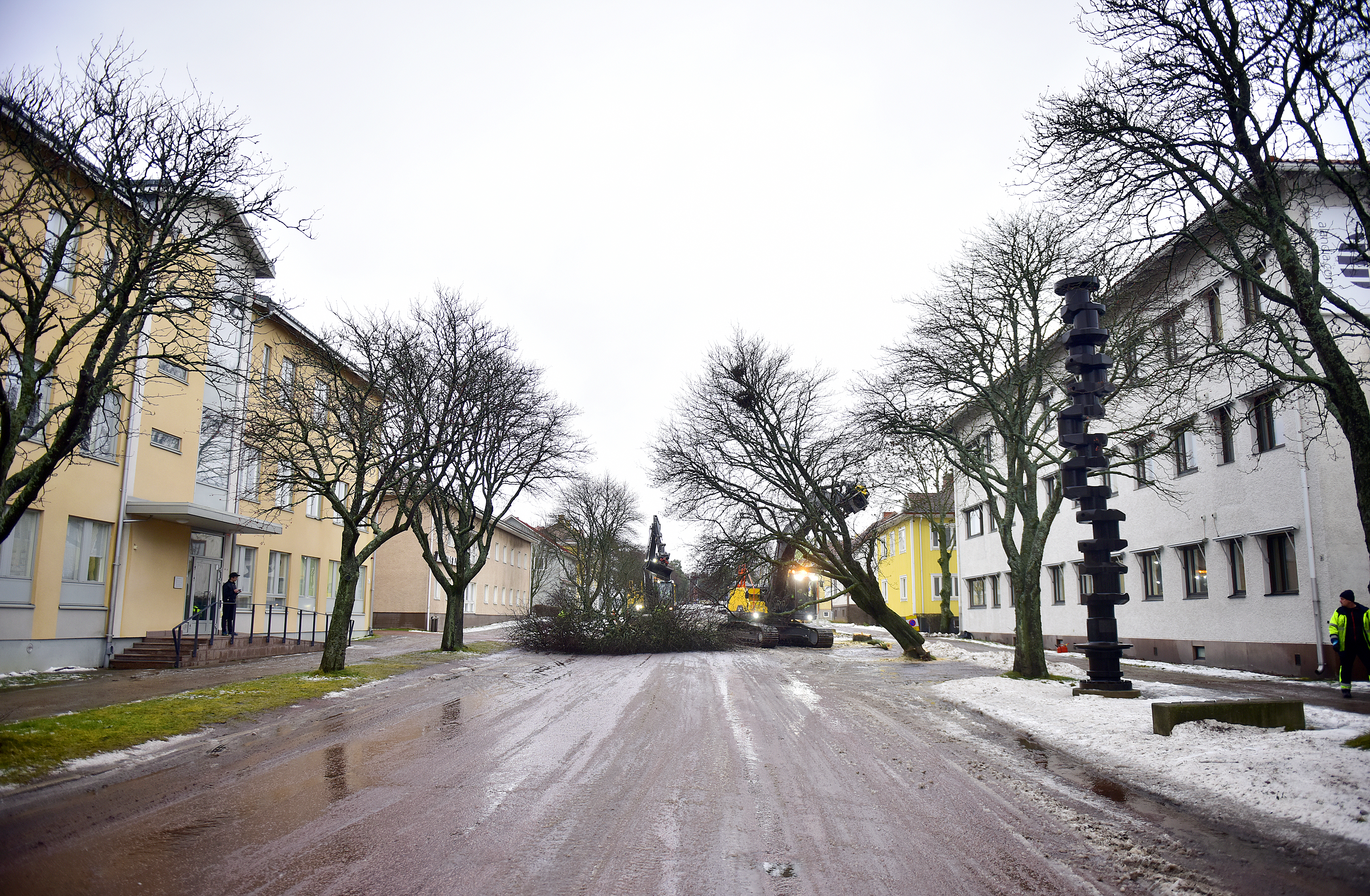Här fälls träden på Ålandsvägen