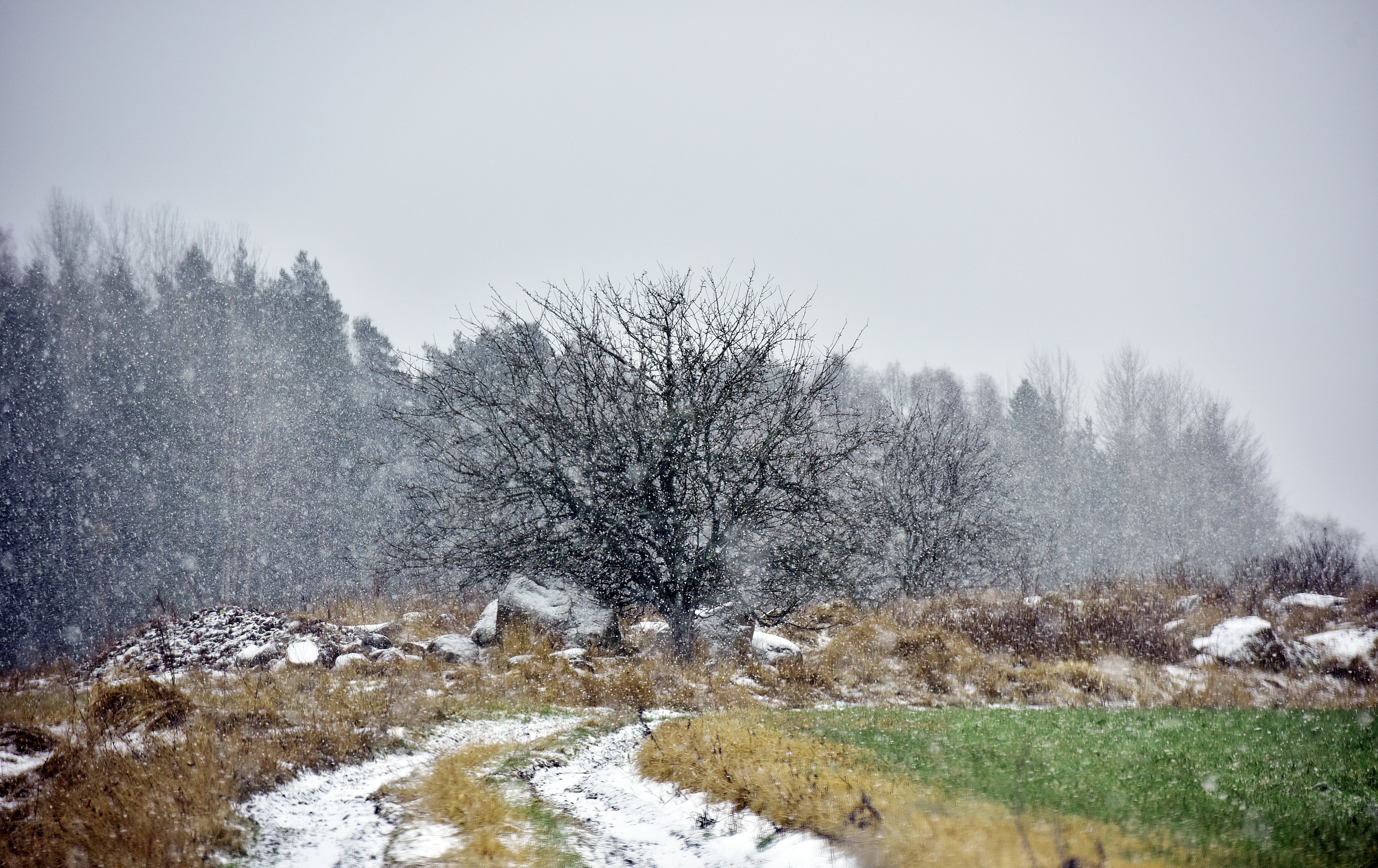 Skogsbrandsvarning upphör