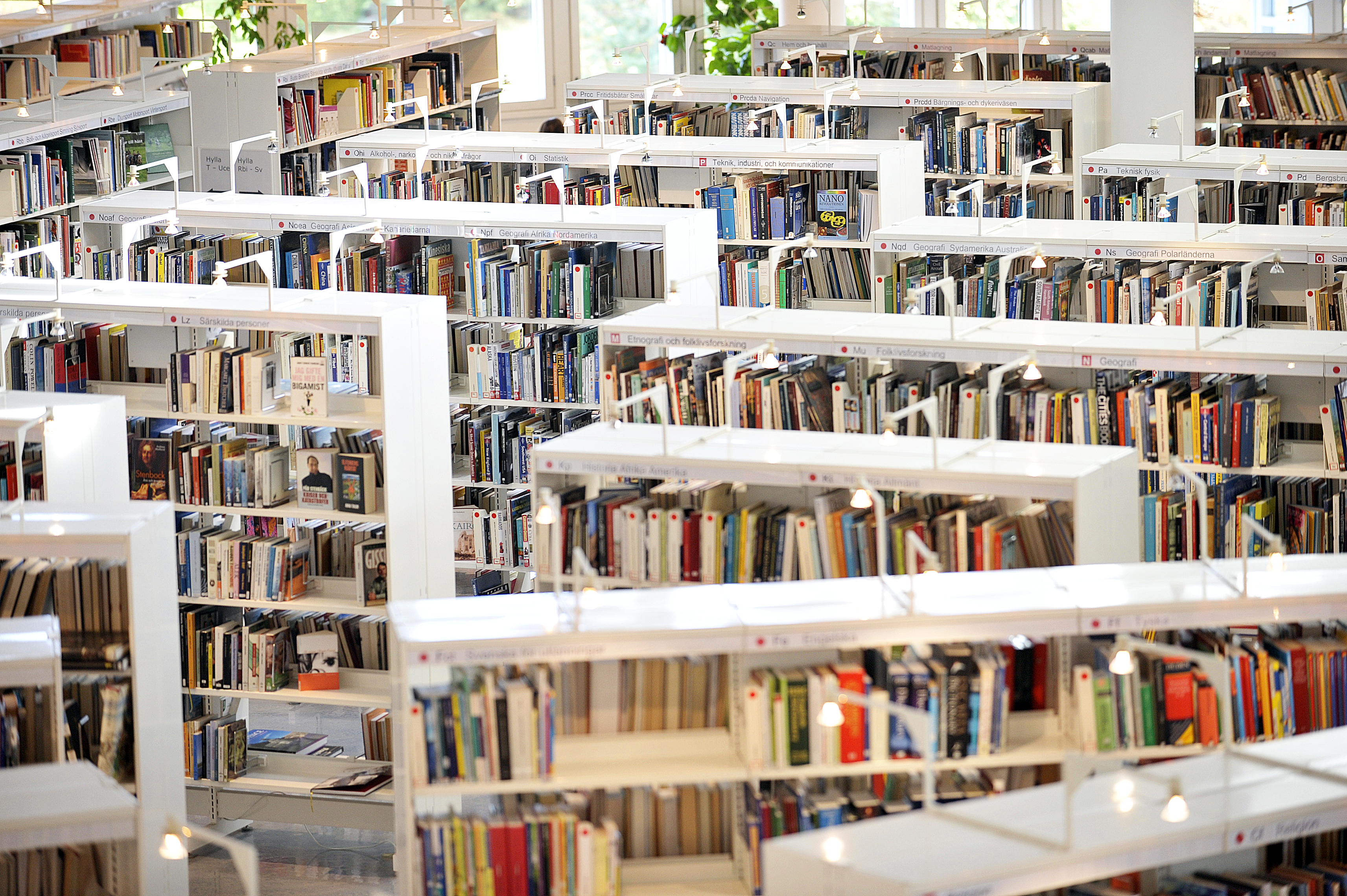 Romanen ”Hem” mest utlånade boken – fler besöker stadsbiblioteket