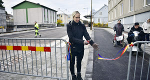 Ålandsvägen till nämnden i mars