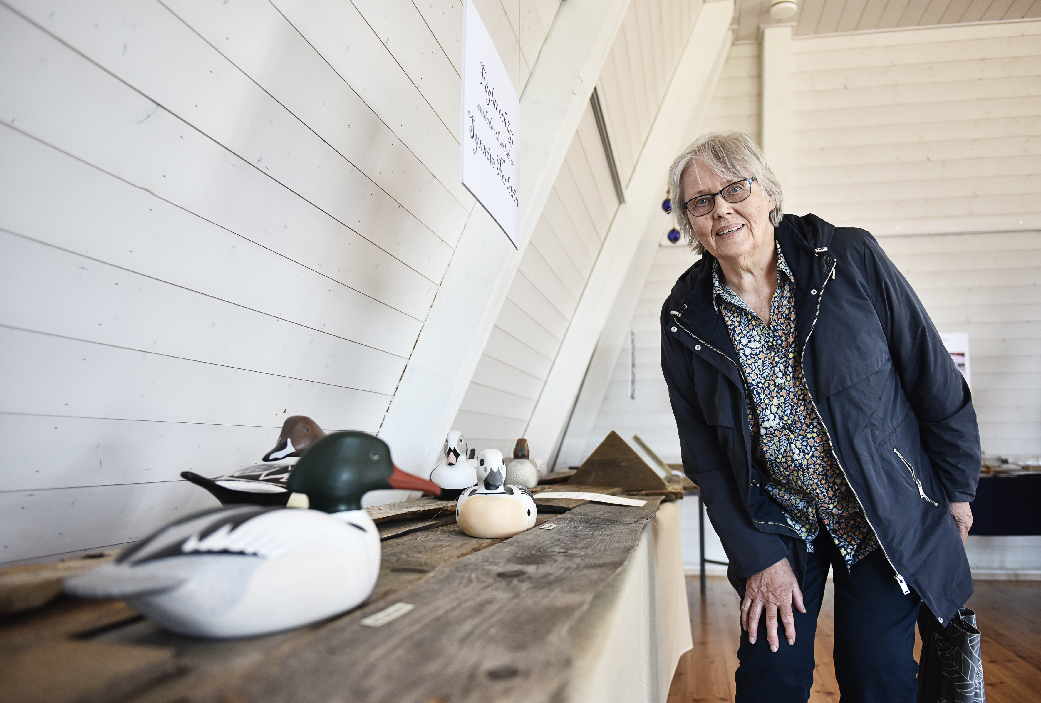 Fåglar, flaskskepp och rep i båken