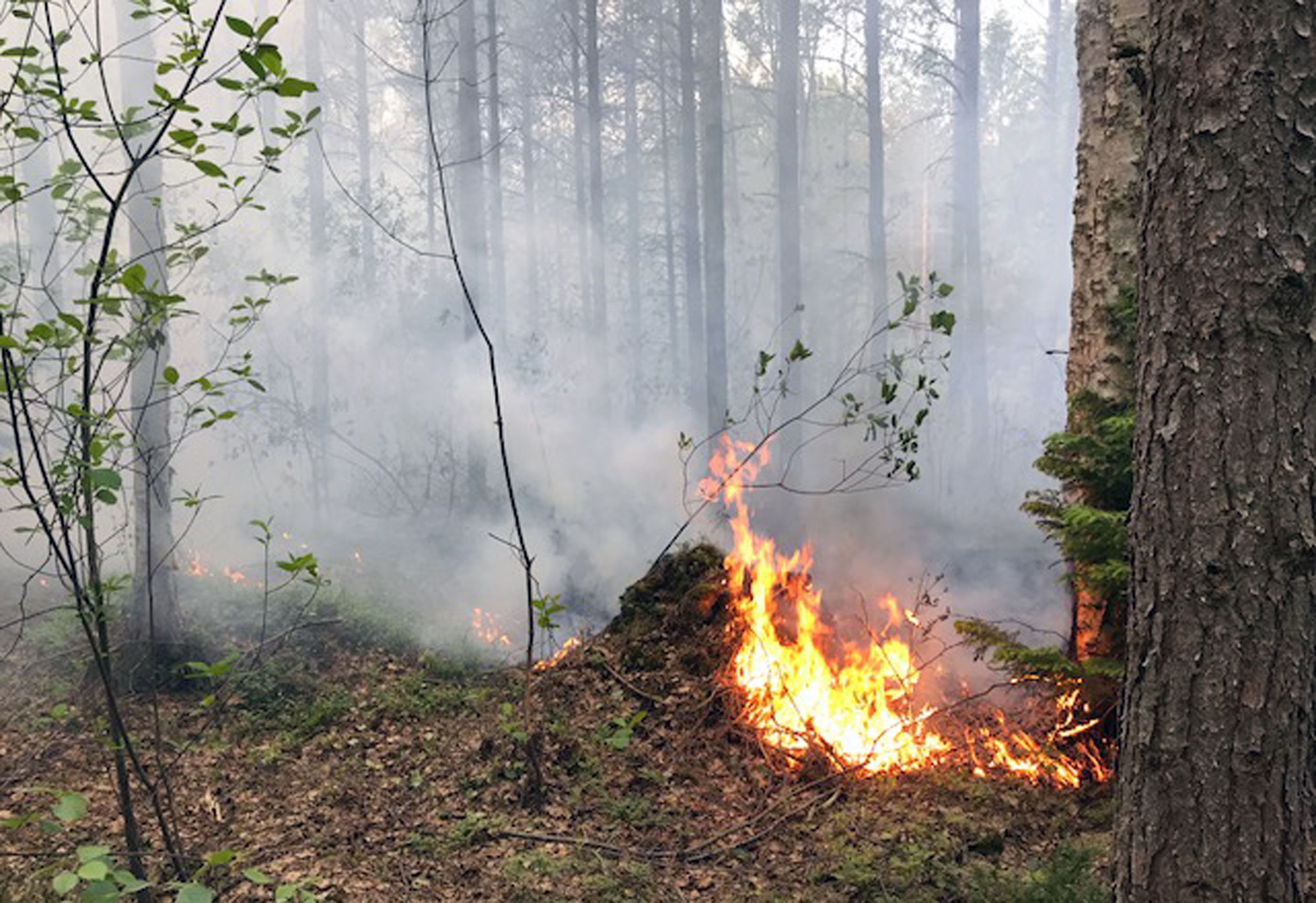 Två markbränder i Lemland