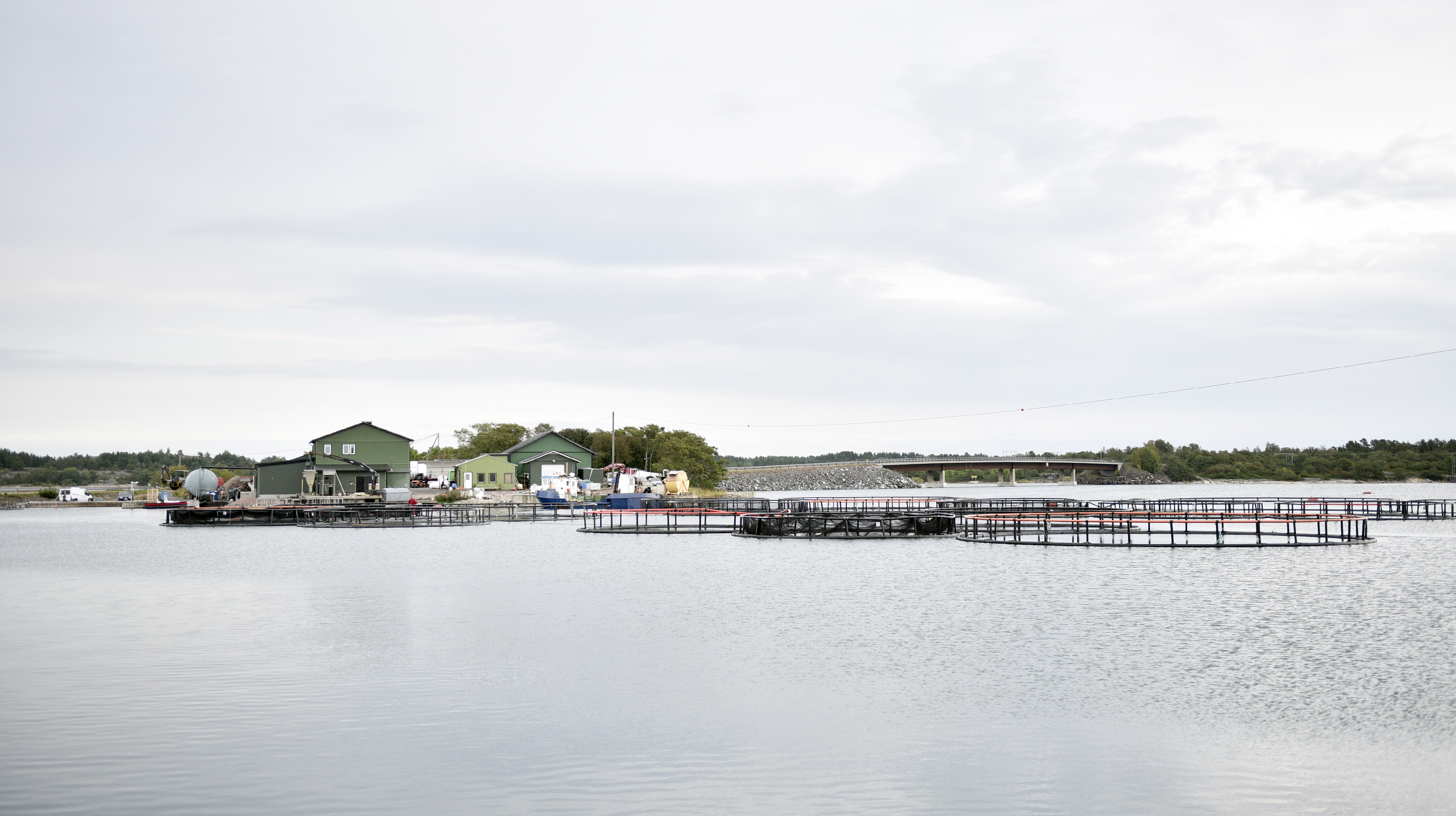 Fiskodlingars tillstånd revideras nu i halvtid