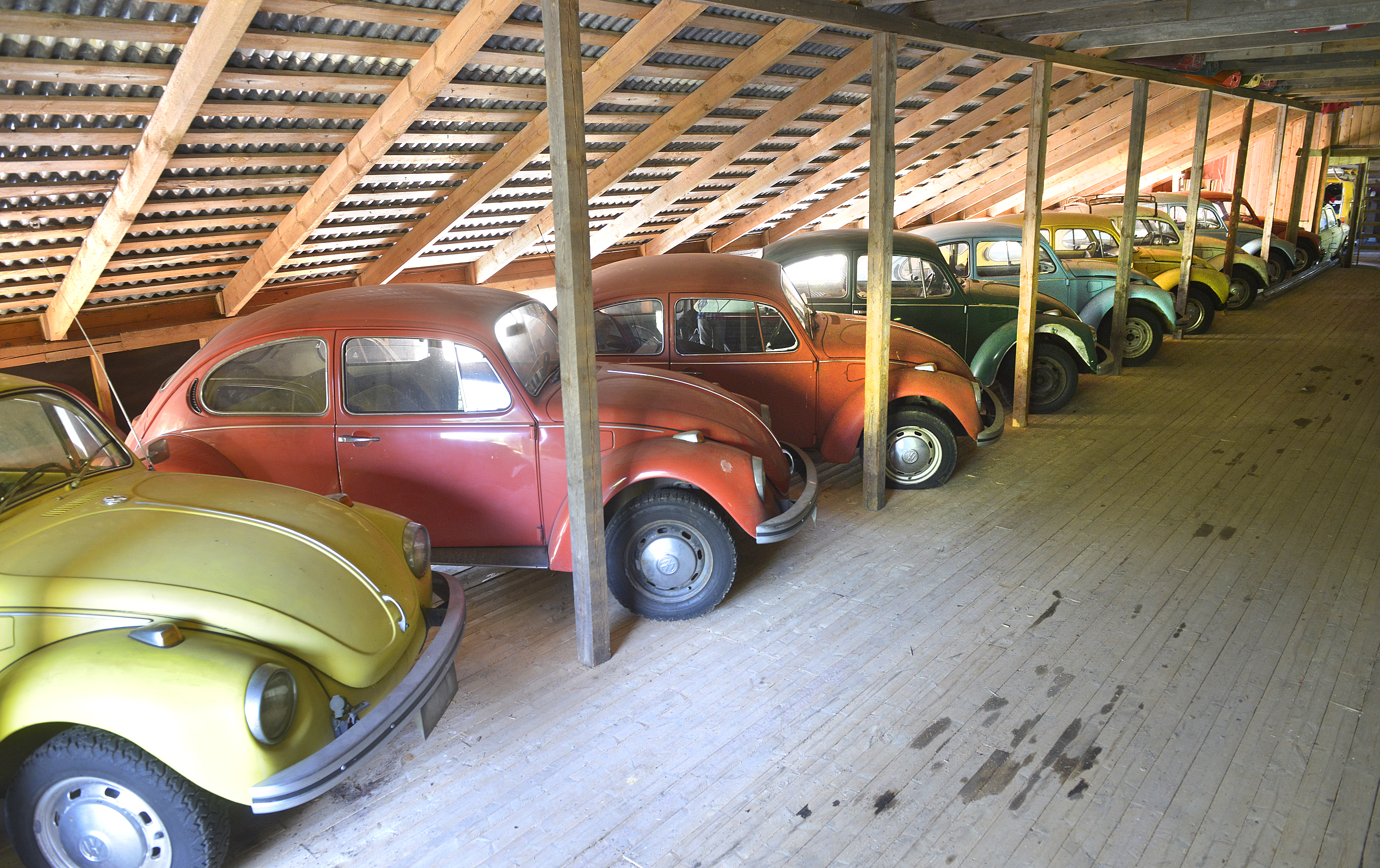 Ett hönshus fyllt av folkvagnar