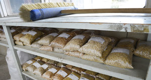 Spannmålsskörden befaras minska