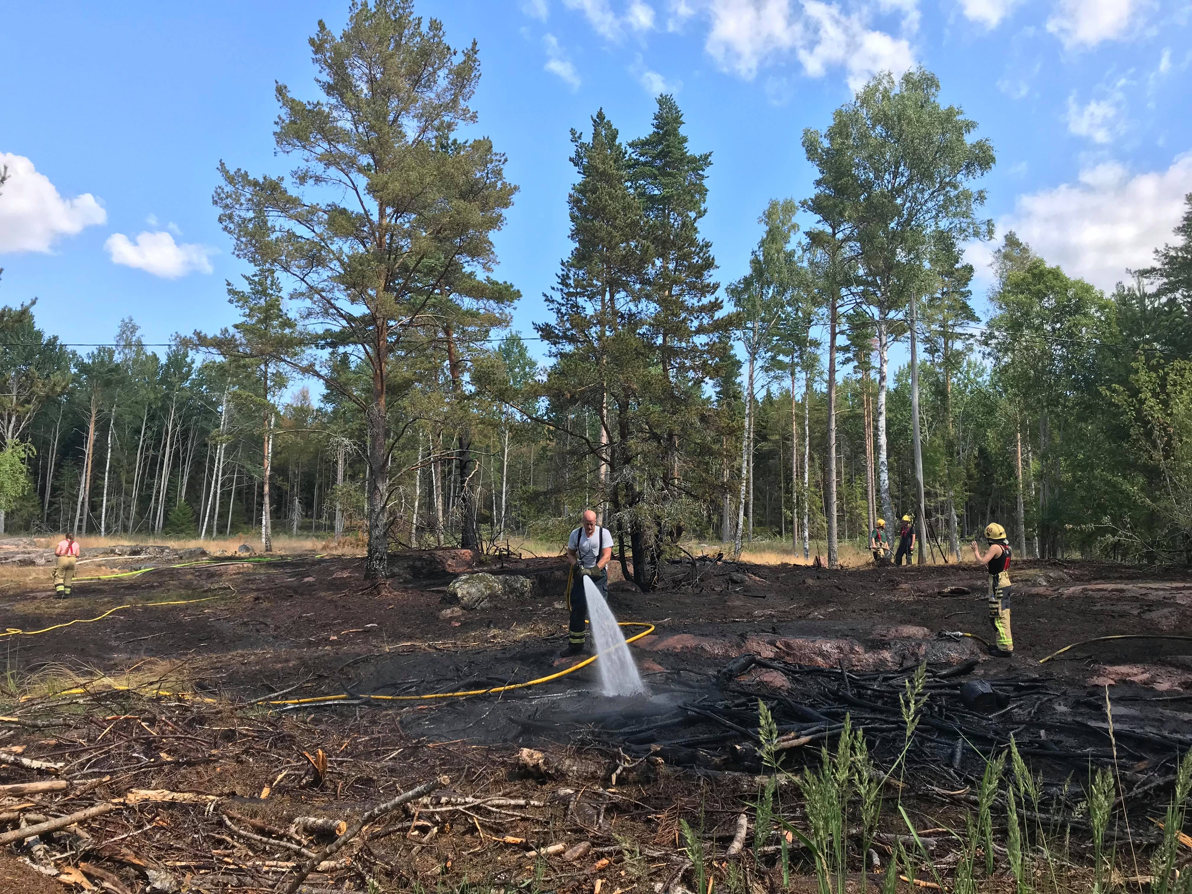 Markbrand misstänks vara anlagd