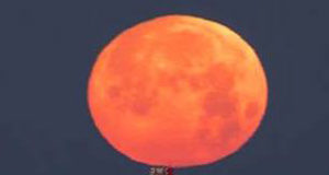 Extremt, men inget rekord i juli