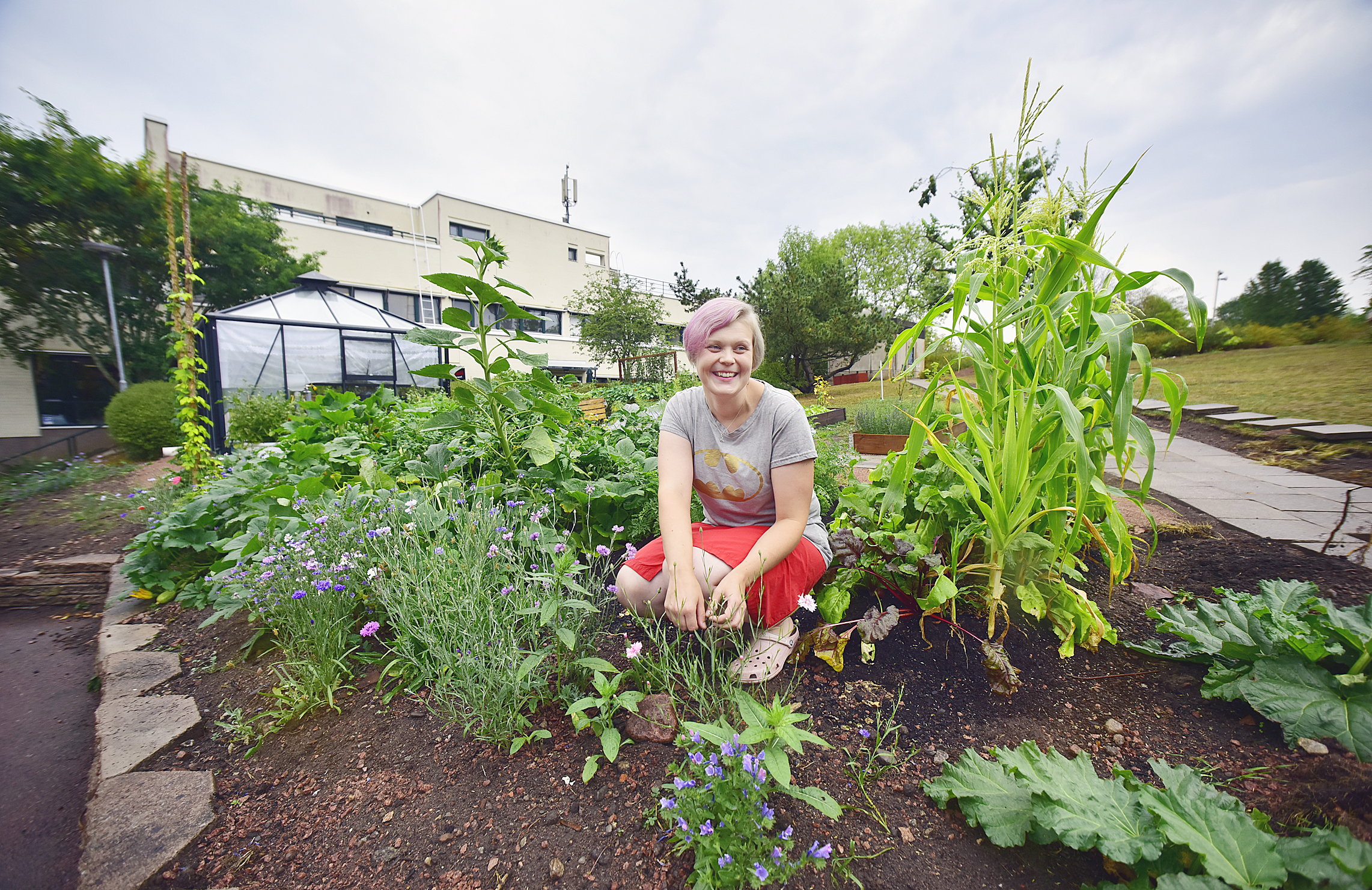 Bra start för Emmaus stadsodling