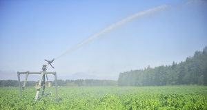 Regeringen tillsätter vattenarbetsgrupp