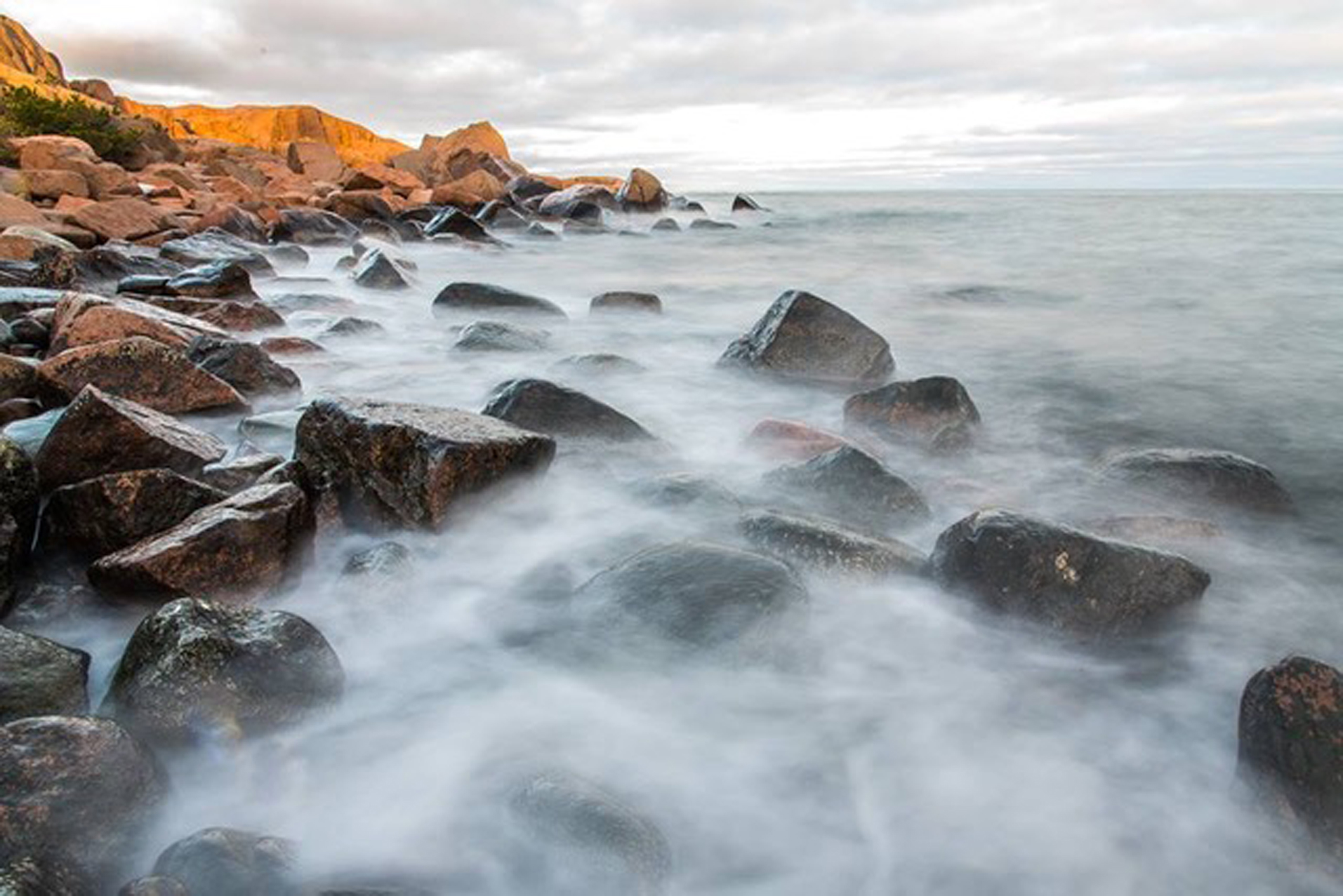 Vattentäkterna jublar