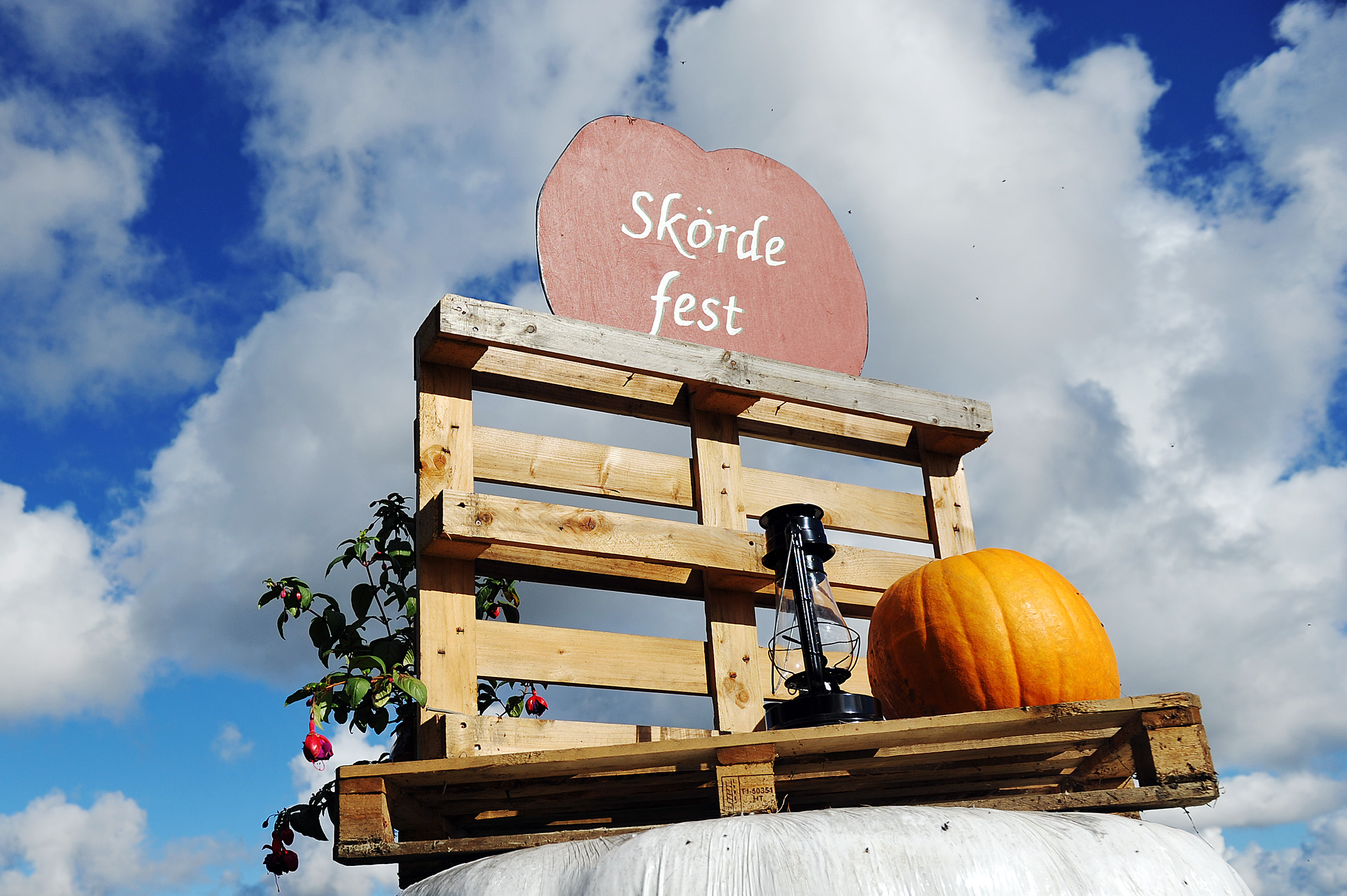 Besöksrekord under årets Skördefest