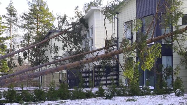 Video: Stormens effekter