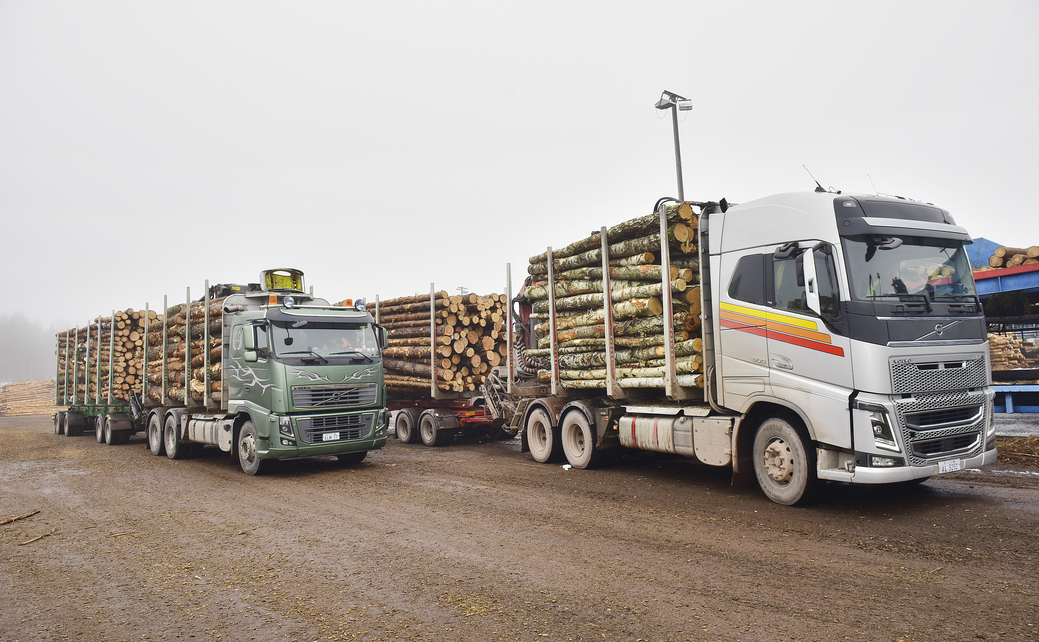 Dubbel volym för Ålands Skogsindustrier