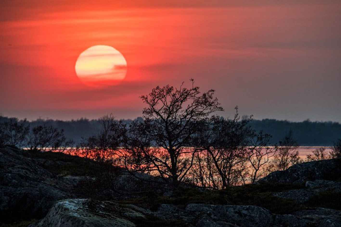 Saharapräglad soluppgång