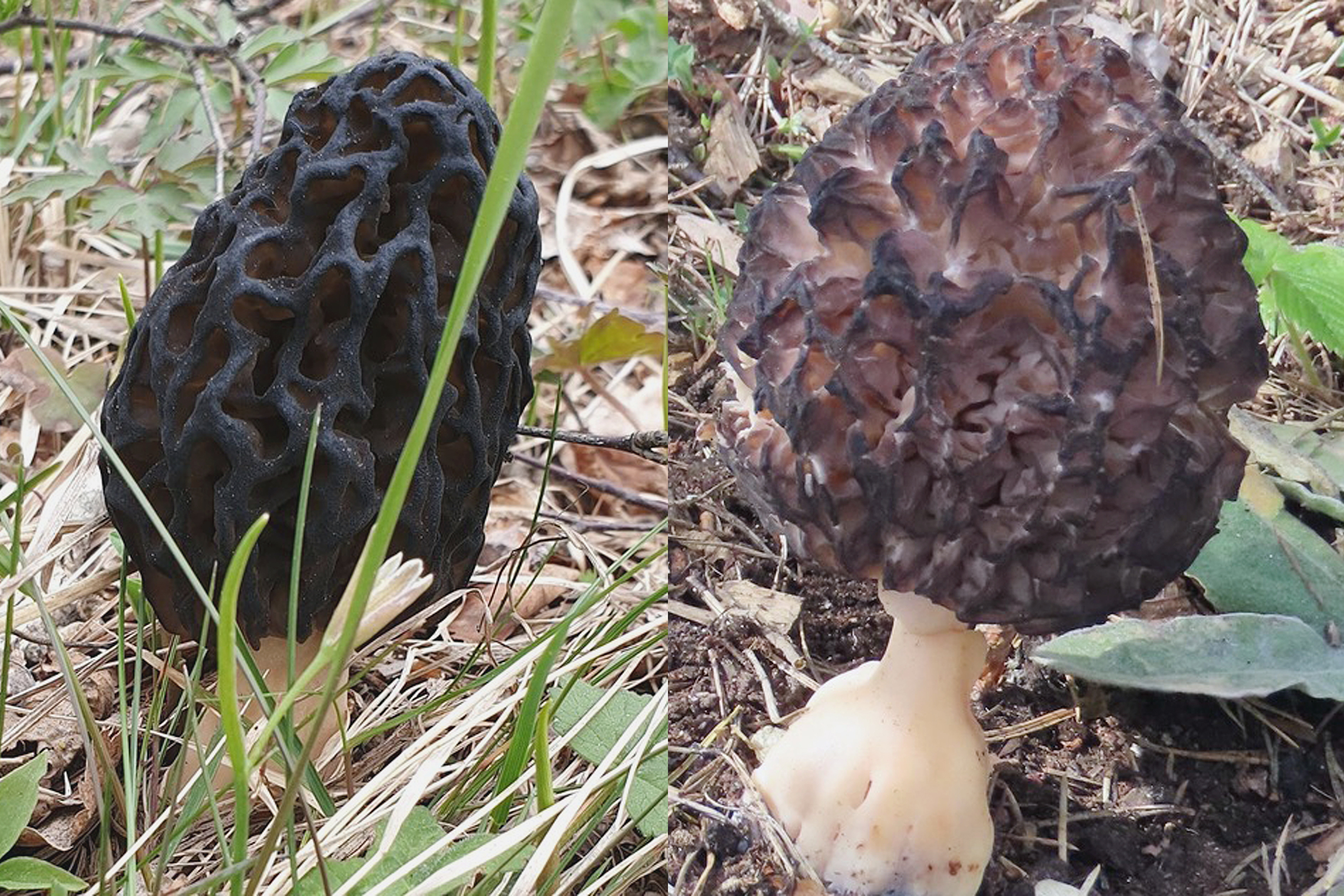 Värmen kommer till helgen