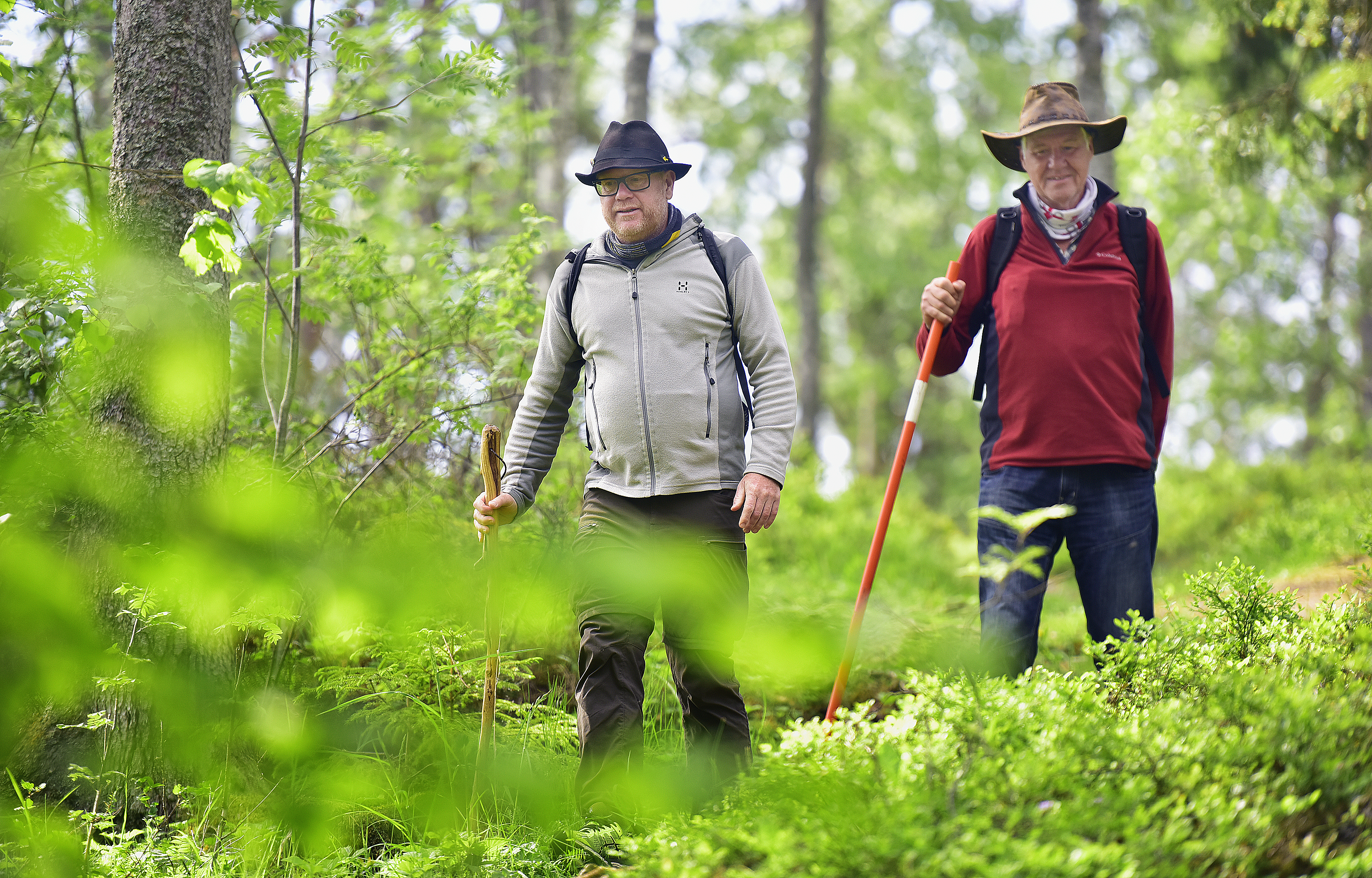 Jungfruvandrare har nått Åland