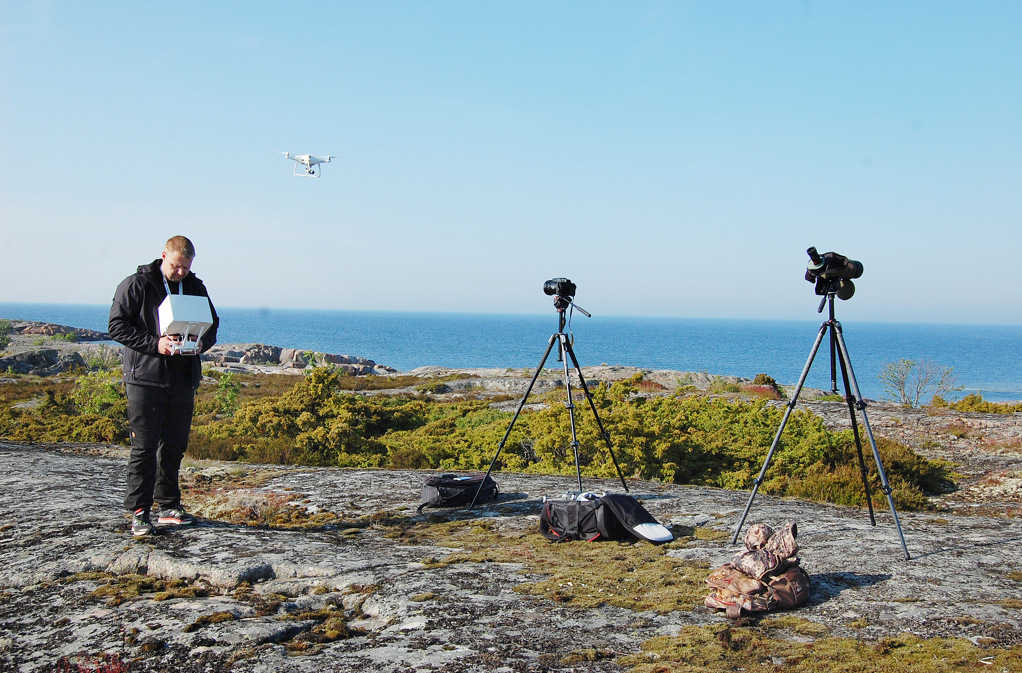 Örnarna flydde för drönare
