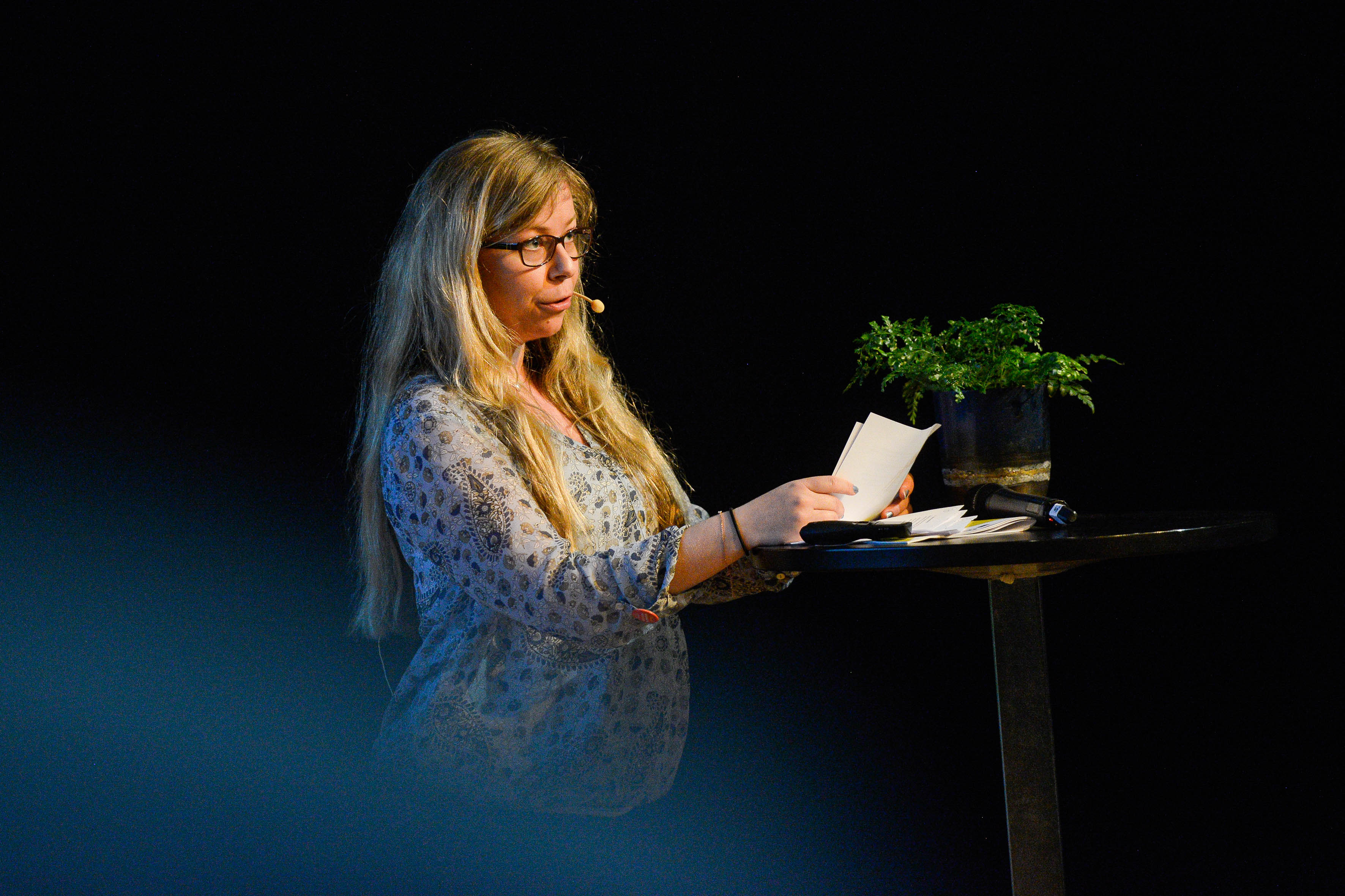 Bärkraft: Svårt att nå målen till 2030