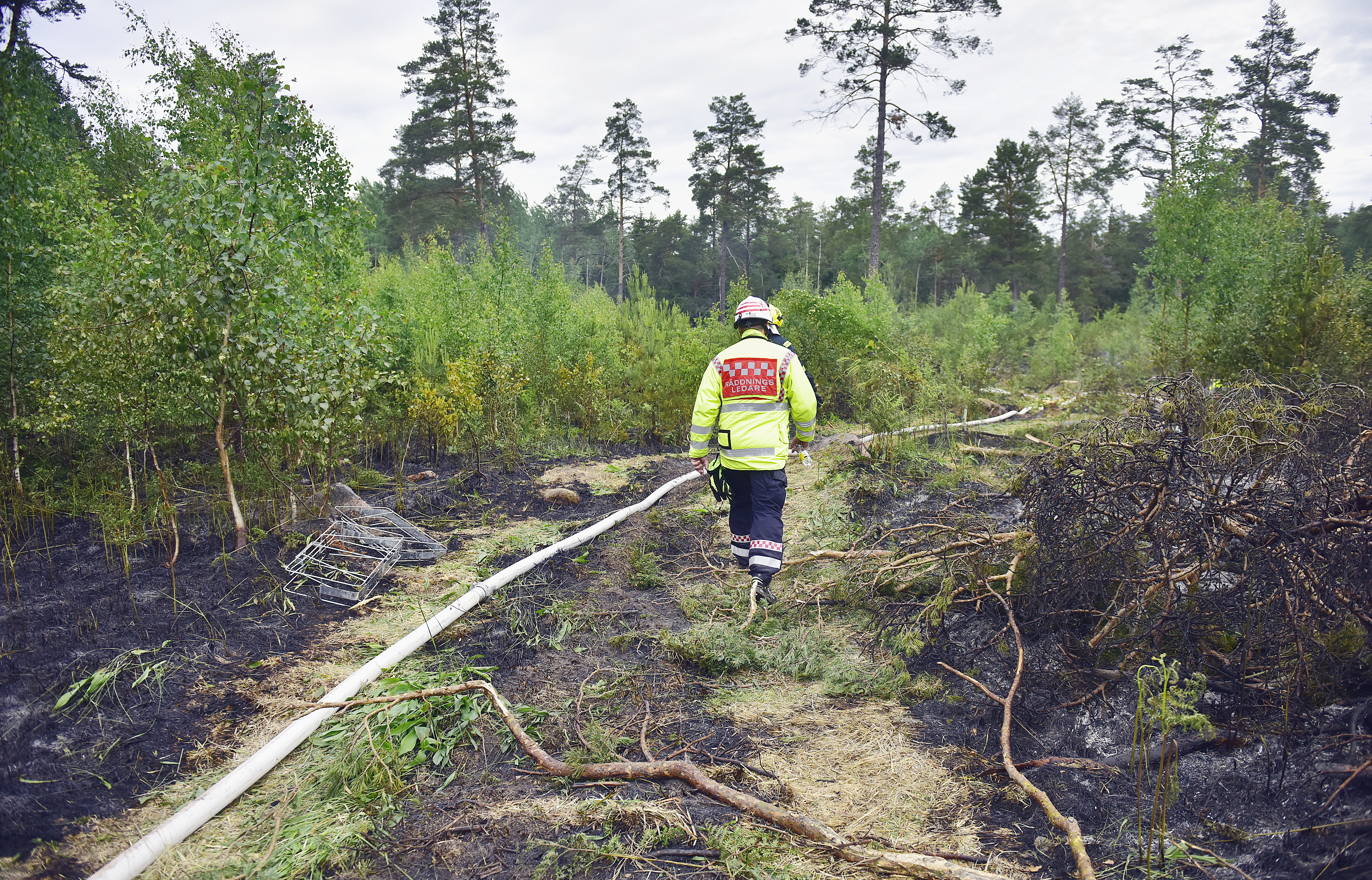 Markbrand i Hammarland