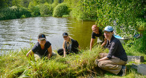 De planterar flytande reningsverk i Långsjön