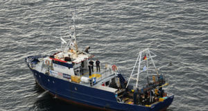 Filmbolag bakom Estonia-dykning