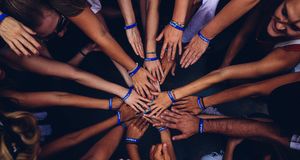 Var är mångfalden i politiken?