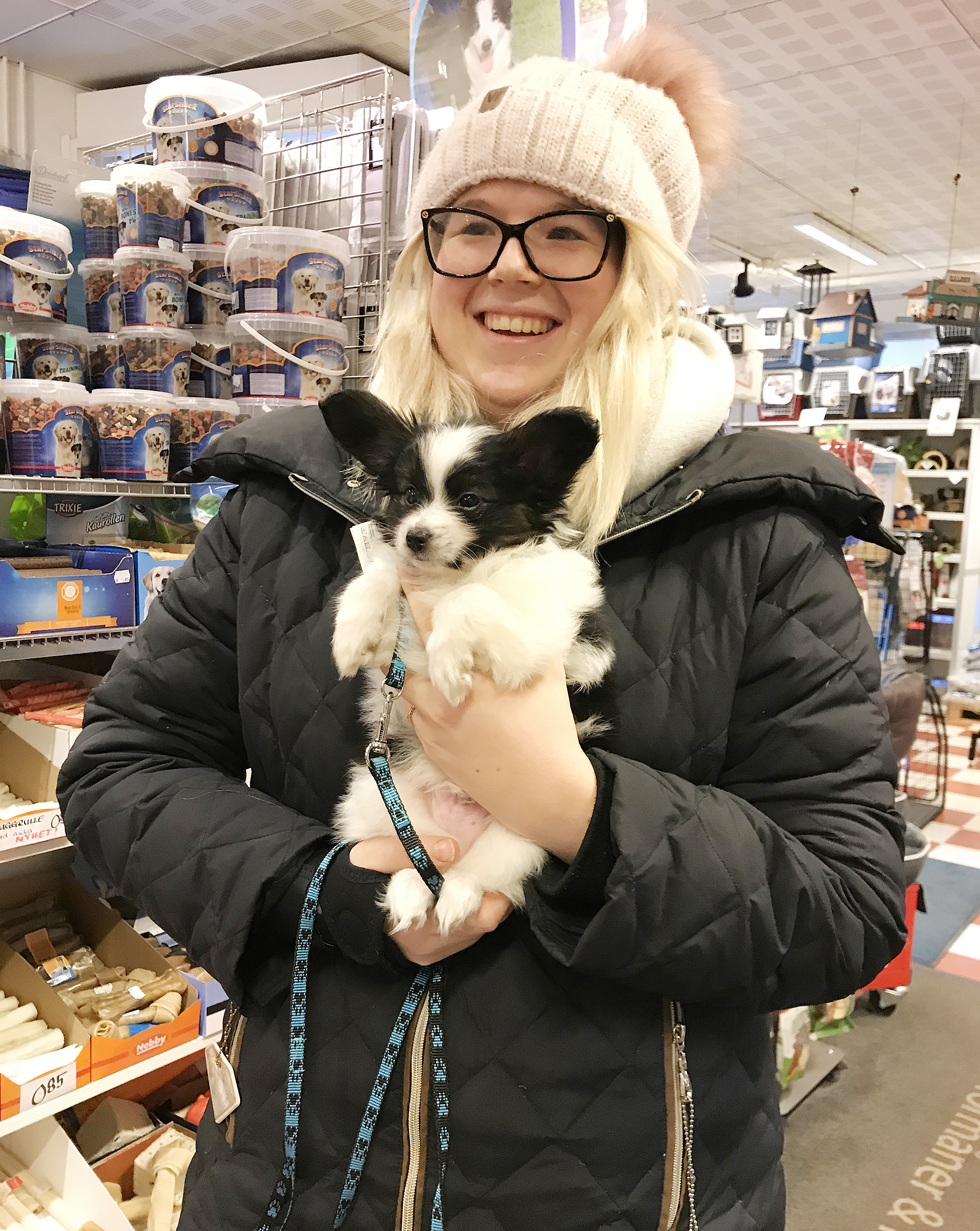 ”Papillon är en extremt smart ras”