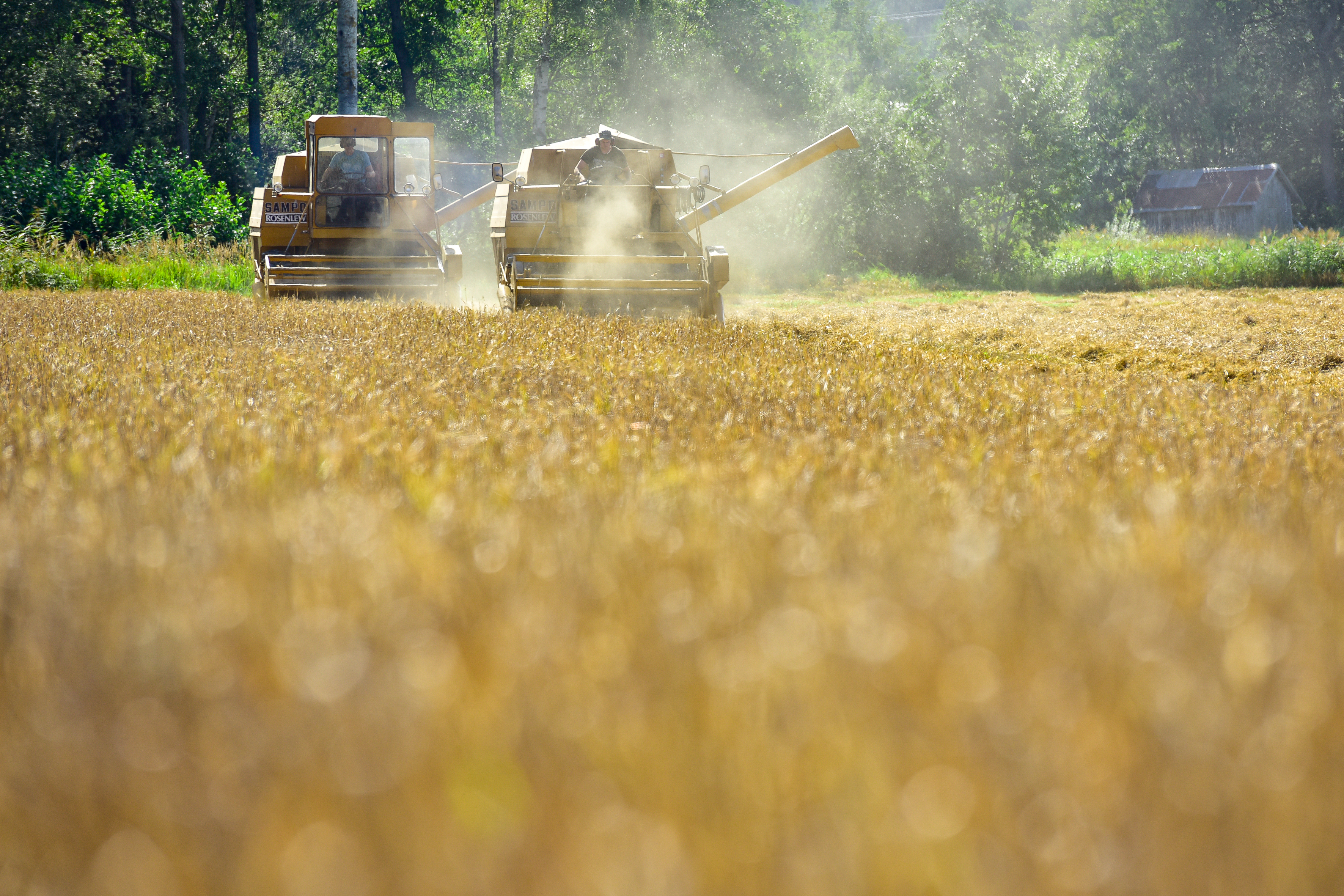 Ett avgörande år för klimatet