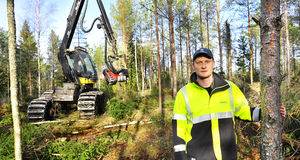 Skogsmarkerna lider av det milda vädret