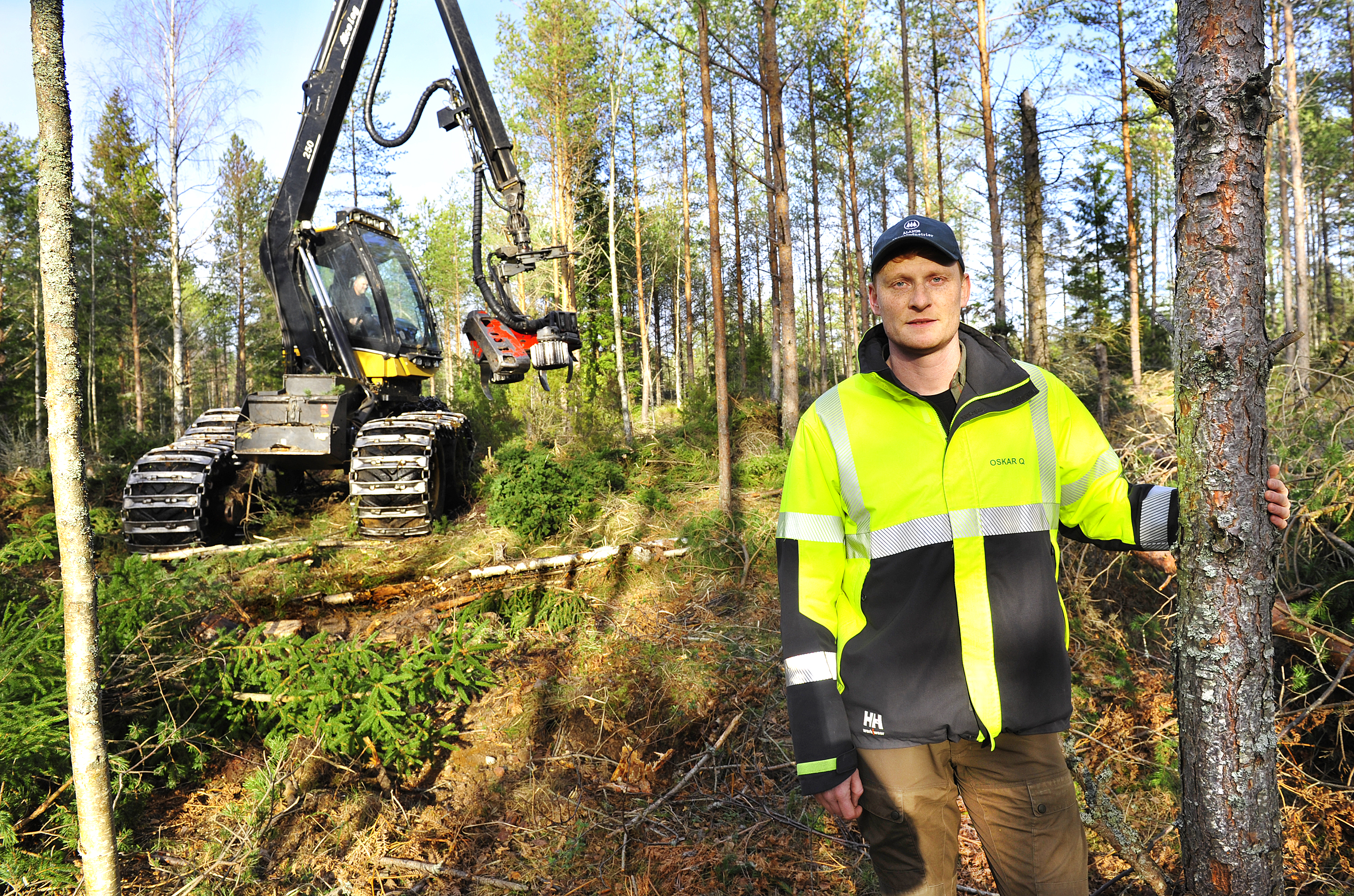 Skogsmarkerna lider av det milda vädret