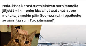 Rymlingskatten Nala återfunnen