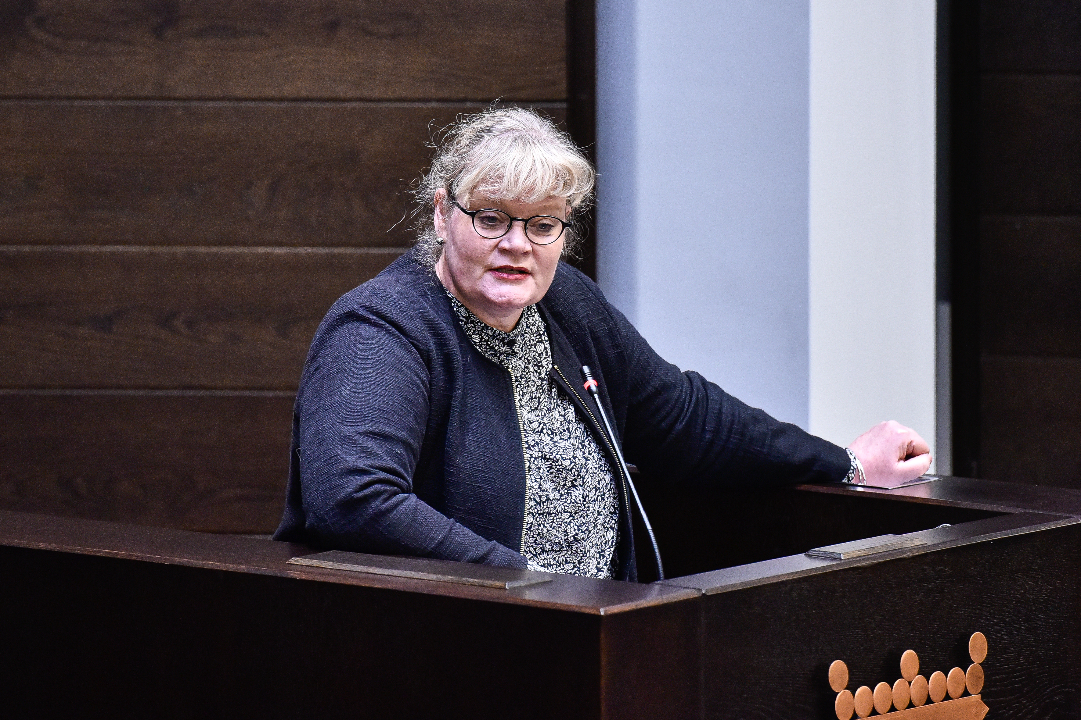 Lib och S gör nytt spörsmål om bulvanaffären