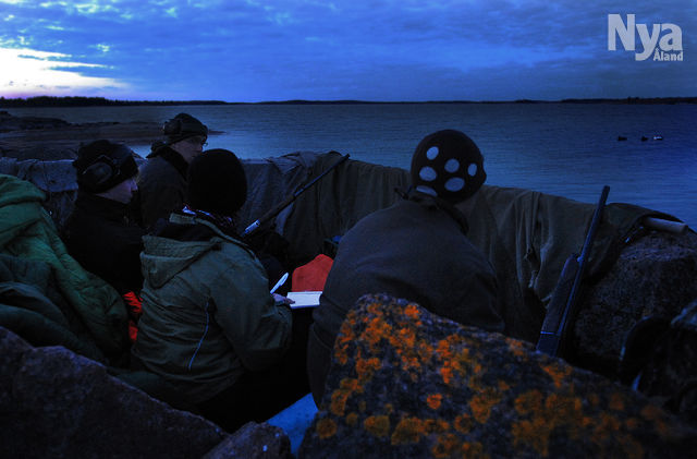 Direktsändning från infon om vårjaktsdomen på nyan.ax