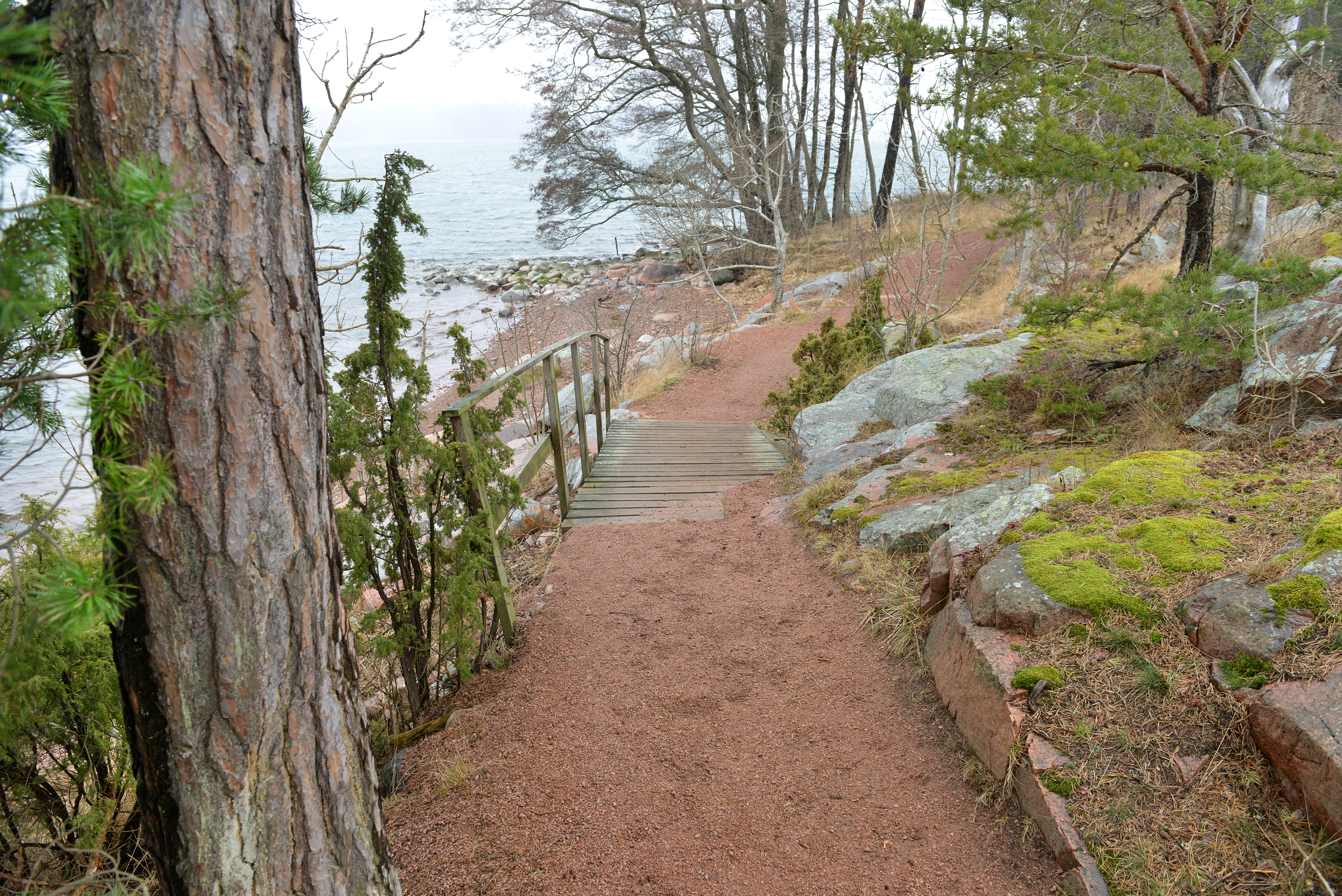 Stans grönområden kartläggs genom enkät