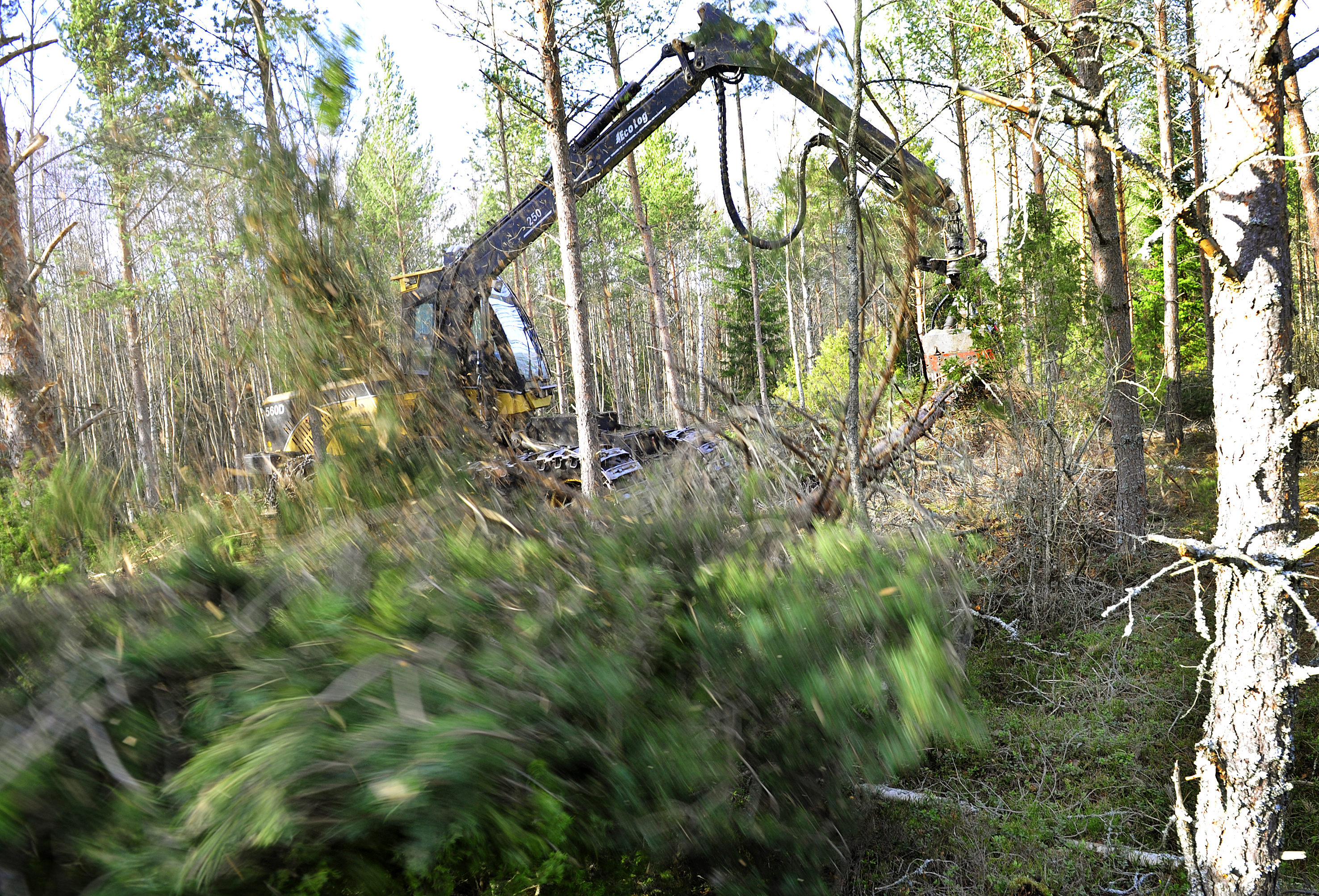 ”Händelserikt” år för Ömsen